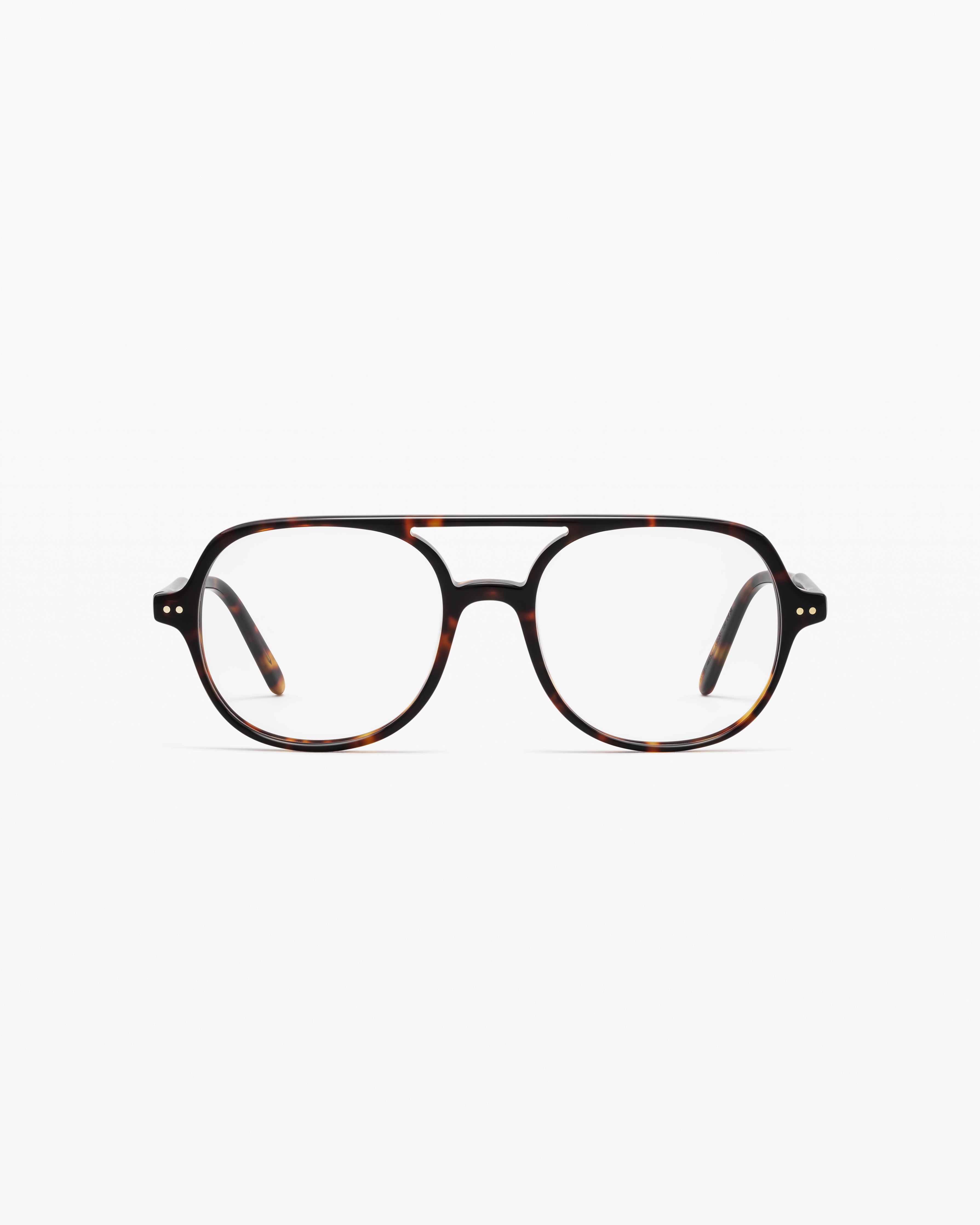 The Steam L Large In Dark Tortoise Jimmy Fairly US the-steam-l-large-in-dark-tortoise-jimmy-fairly-us