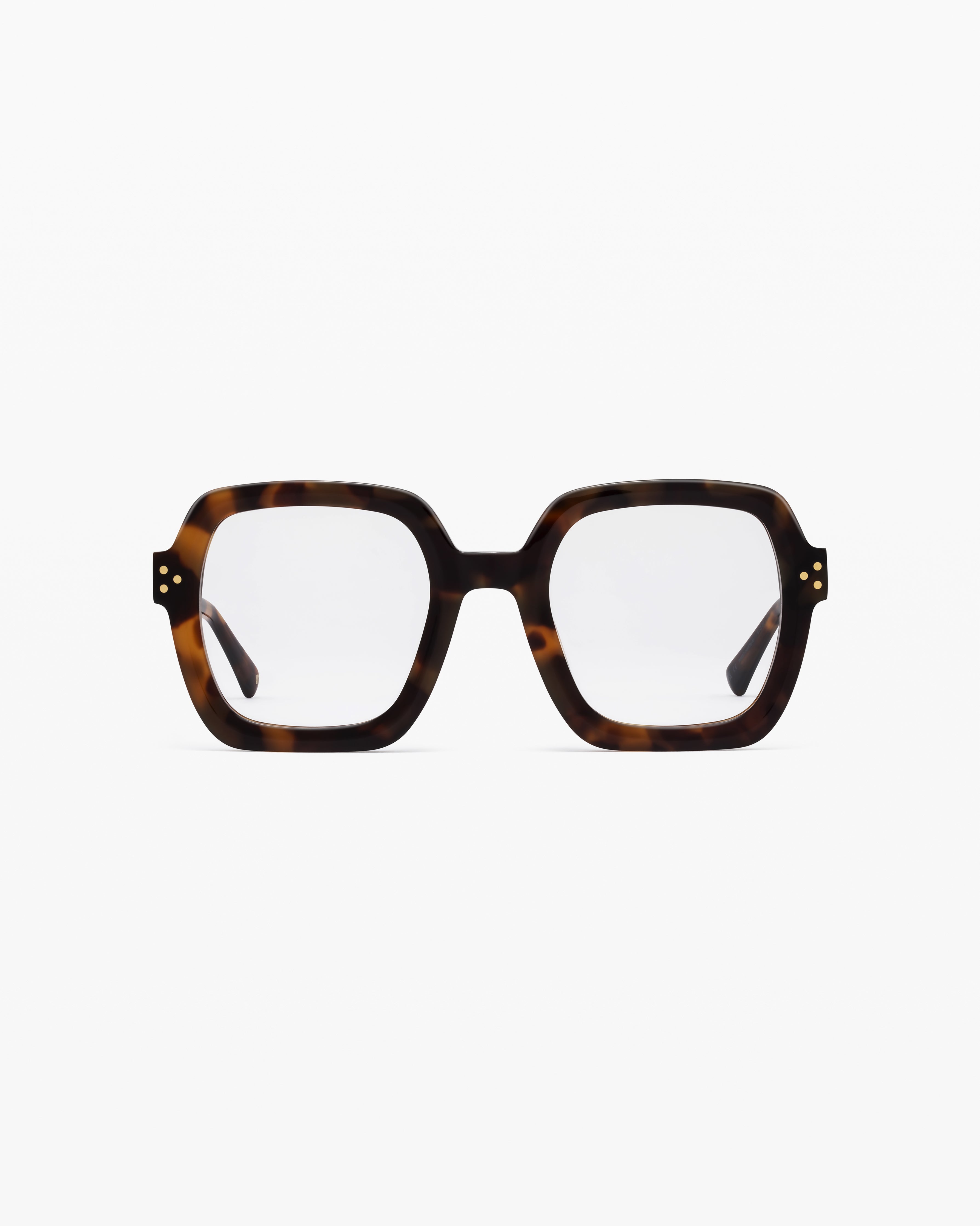 The Loulou Square Women's Eyeglasses in Dark Tortoise Jimmy
