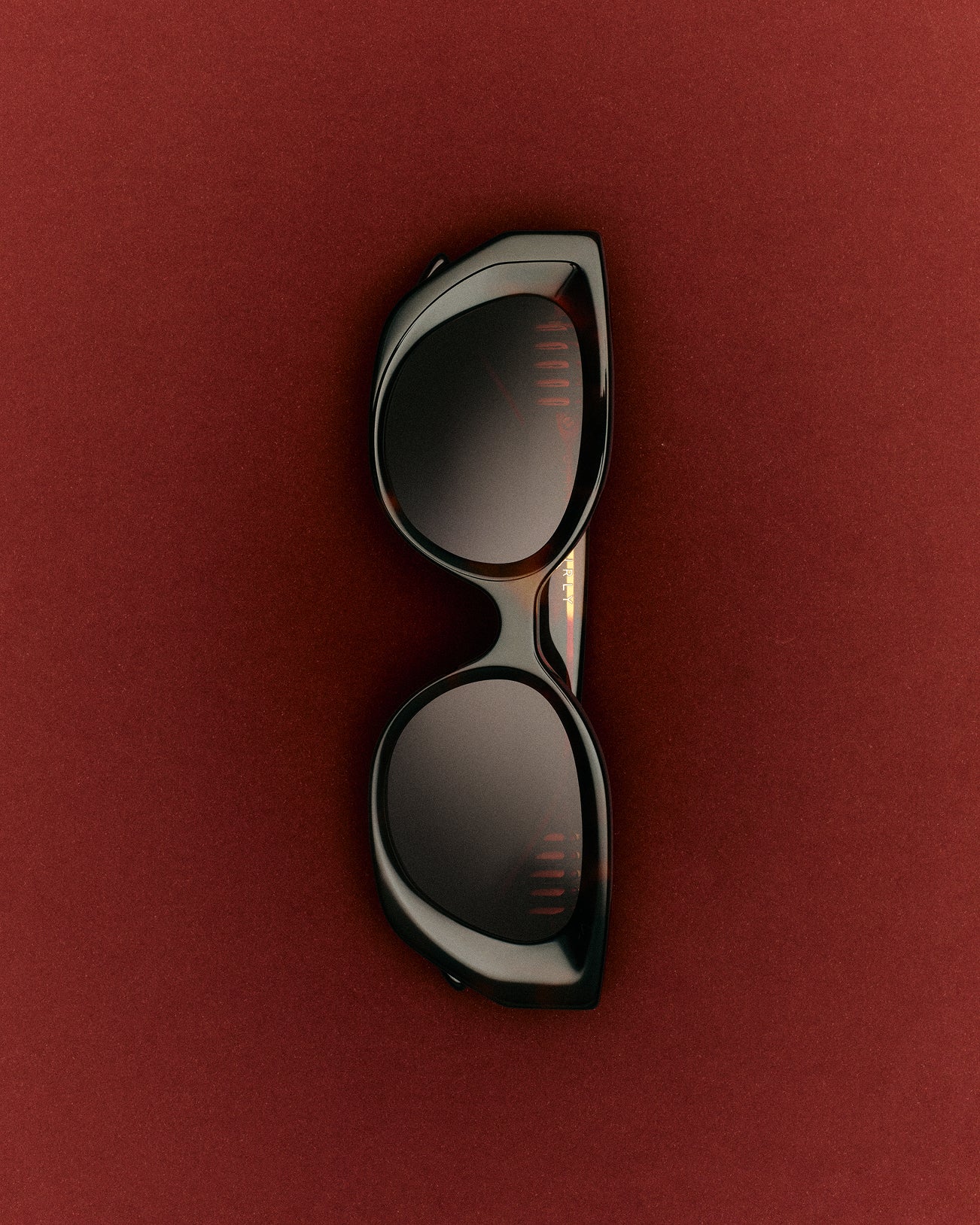 The Emmy JF Colors Medium Women's Sunglasses in Tortoise | Jimmy