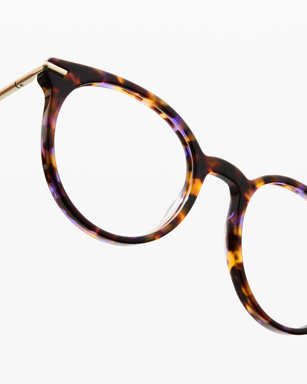 The E-024 S Schmetterling  in Tortoise