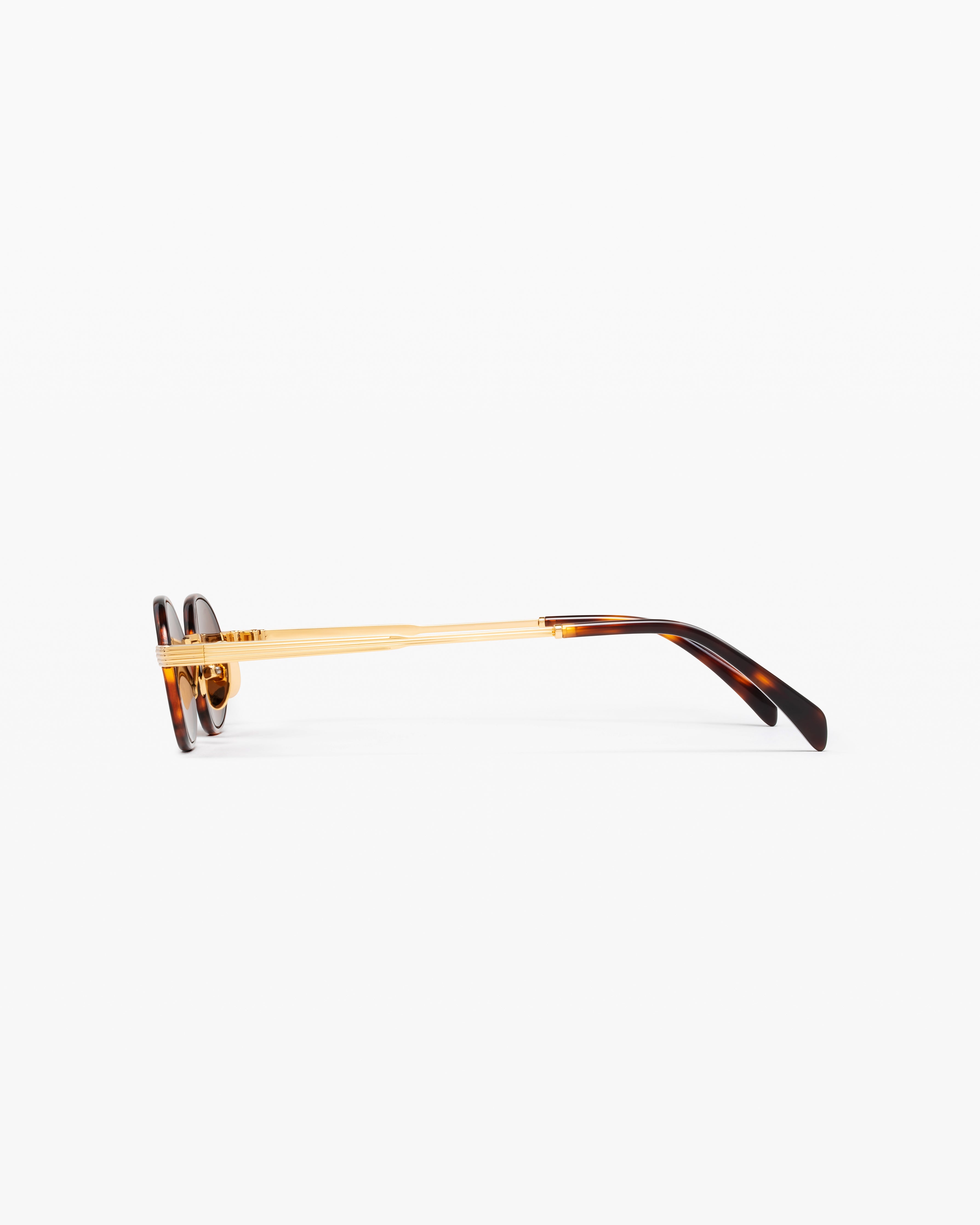 The Sigi Medium Women's Sunglasses in Dark Tortoise | Jimmy Fairly US