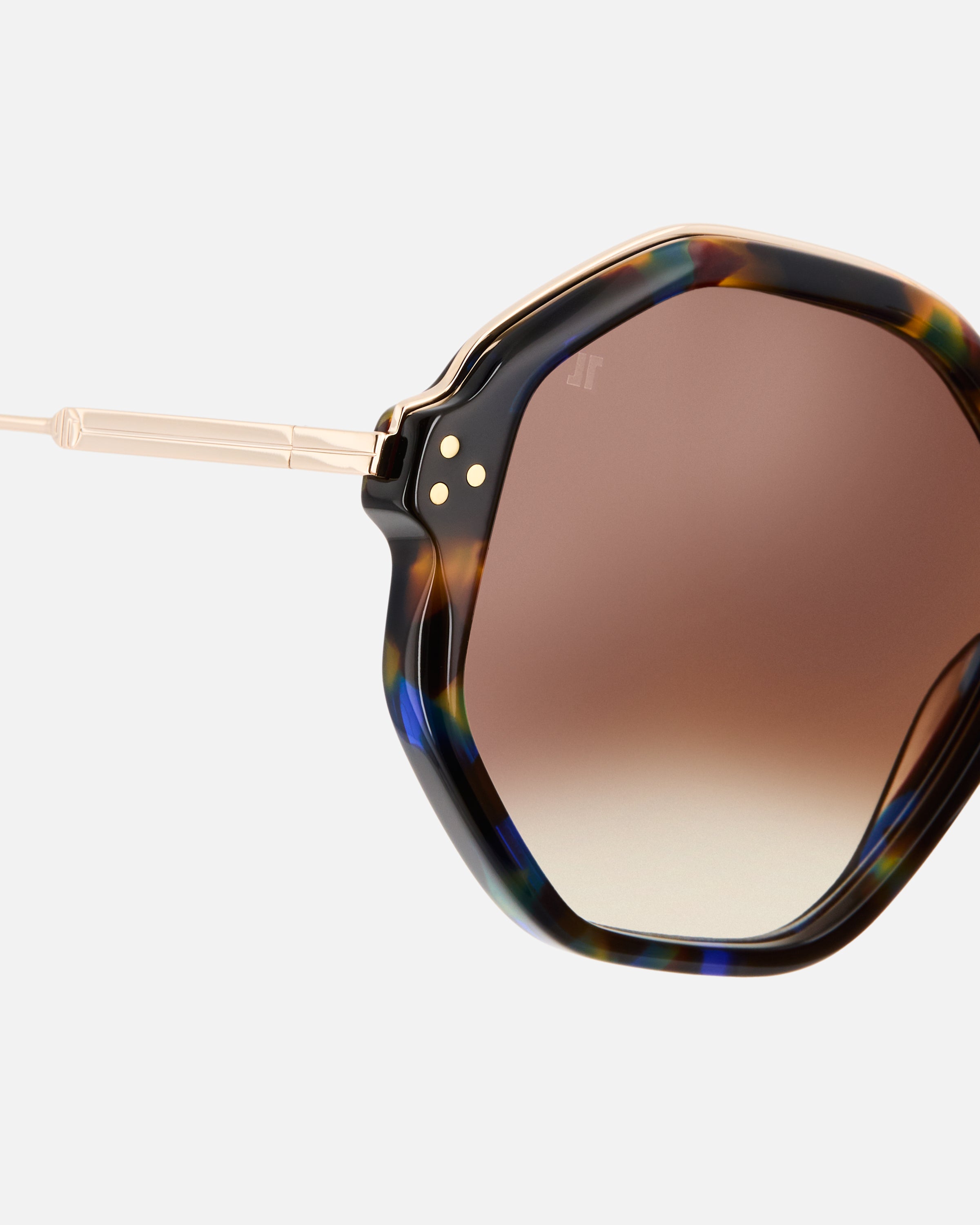 The Capu Hexagonal Women's Sunglasses in Tortoise
