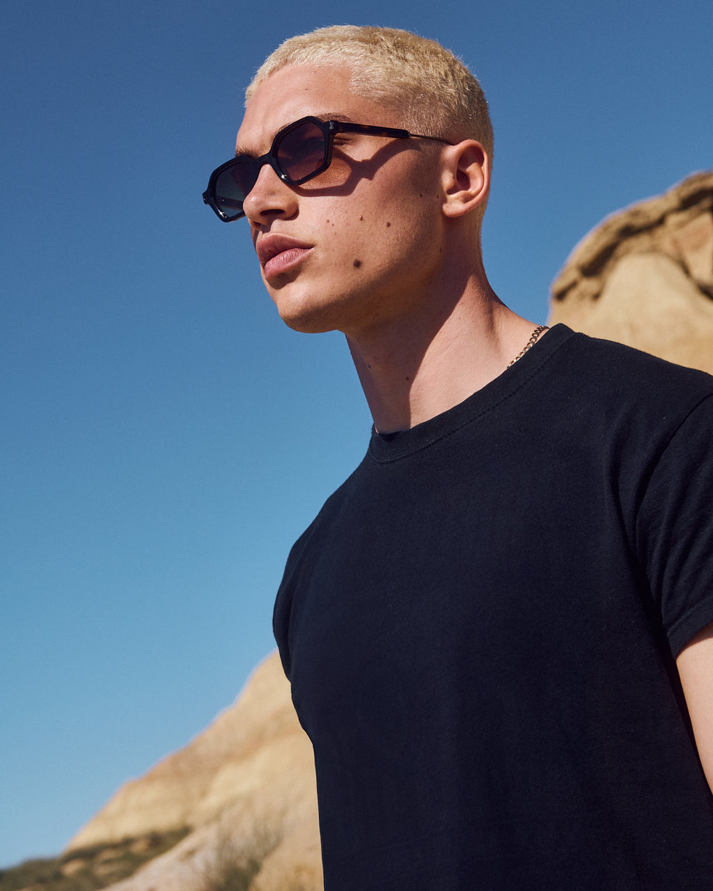 La West Hexagonal Lunettes de Soleil pour homme in Ecaille foncée