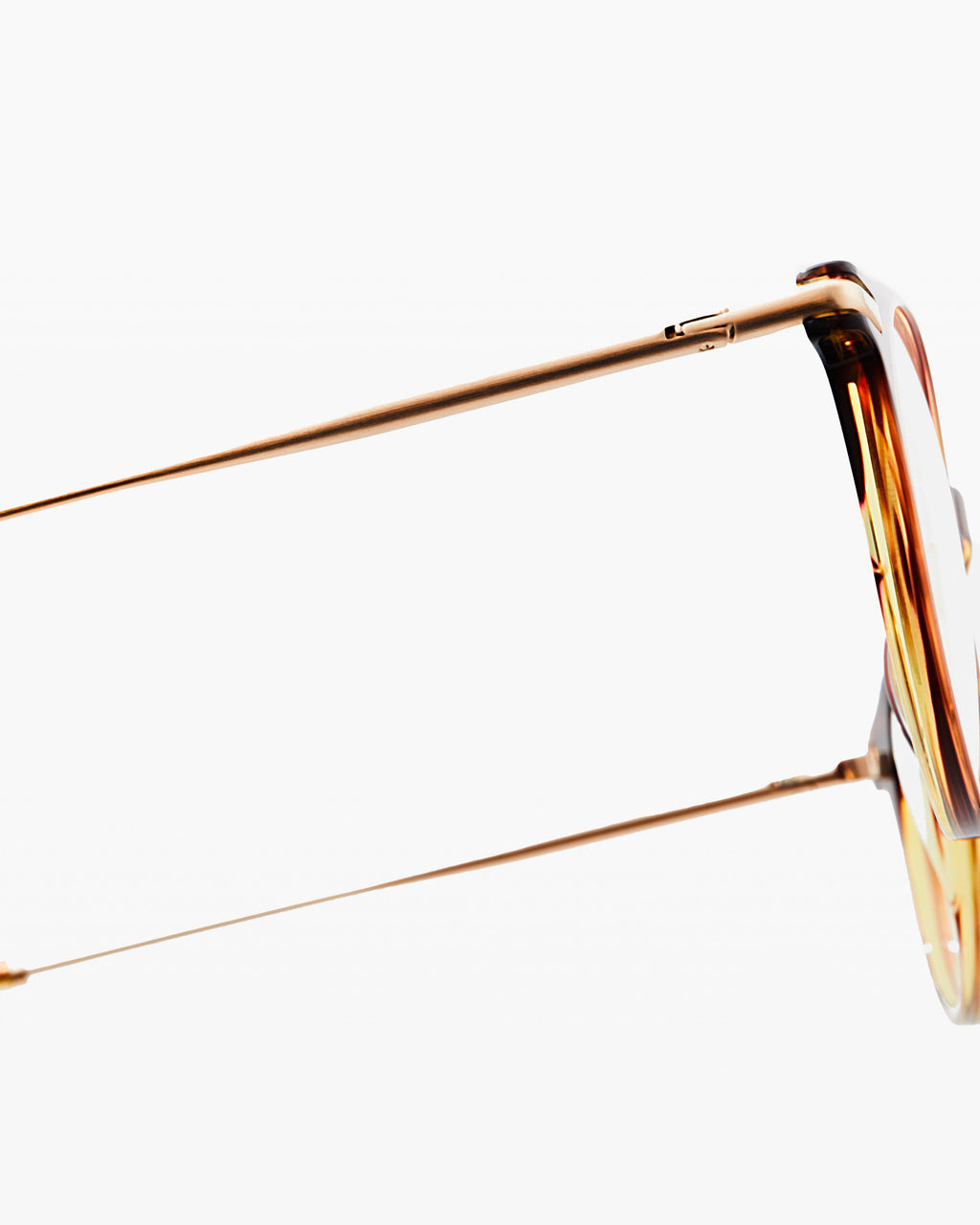 The Taylor XL Rund Herrenbrillen in Tortoise