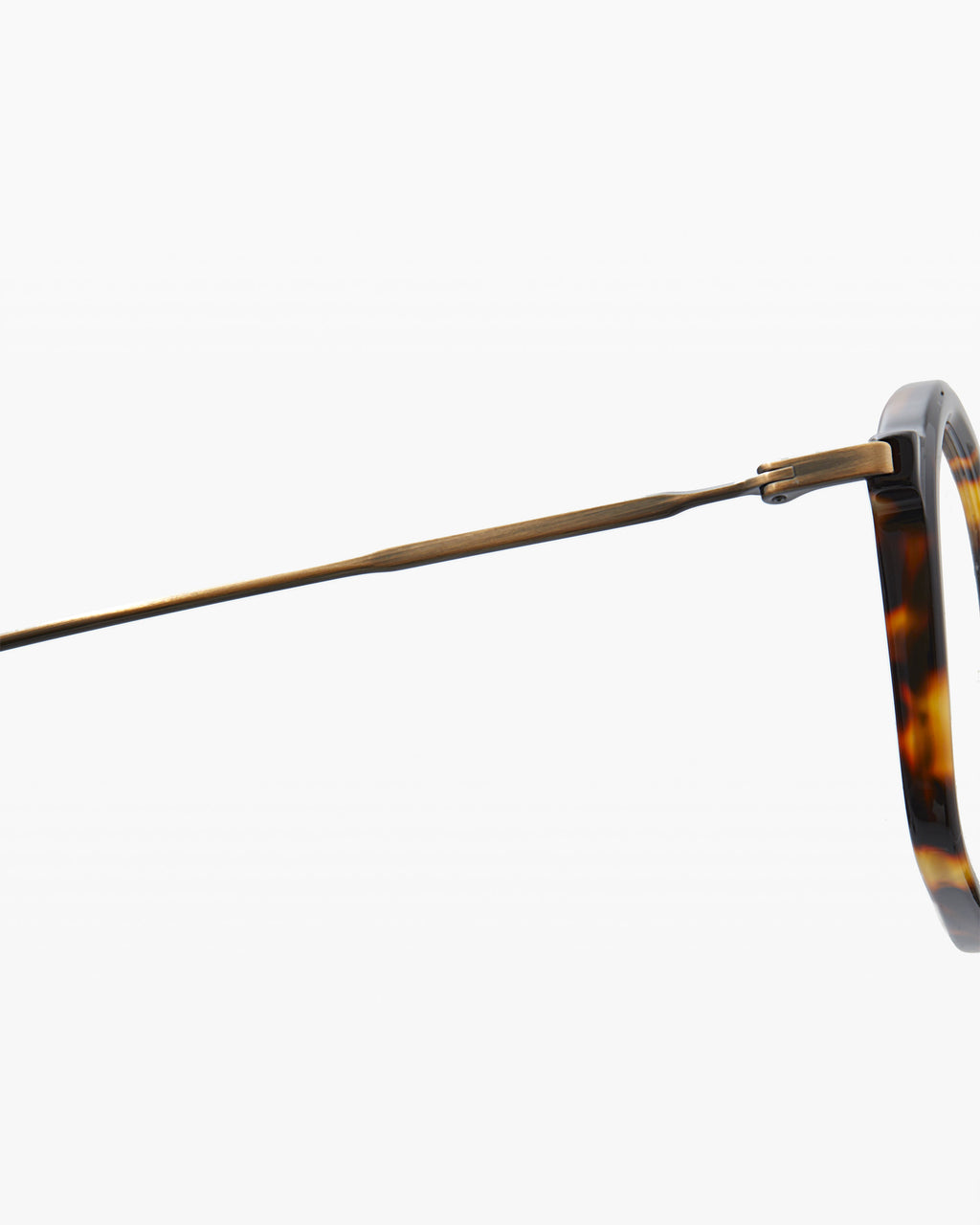 Die Wiz Rechteckig Damenbrillen in Tortoise