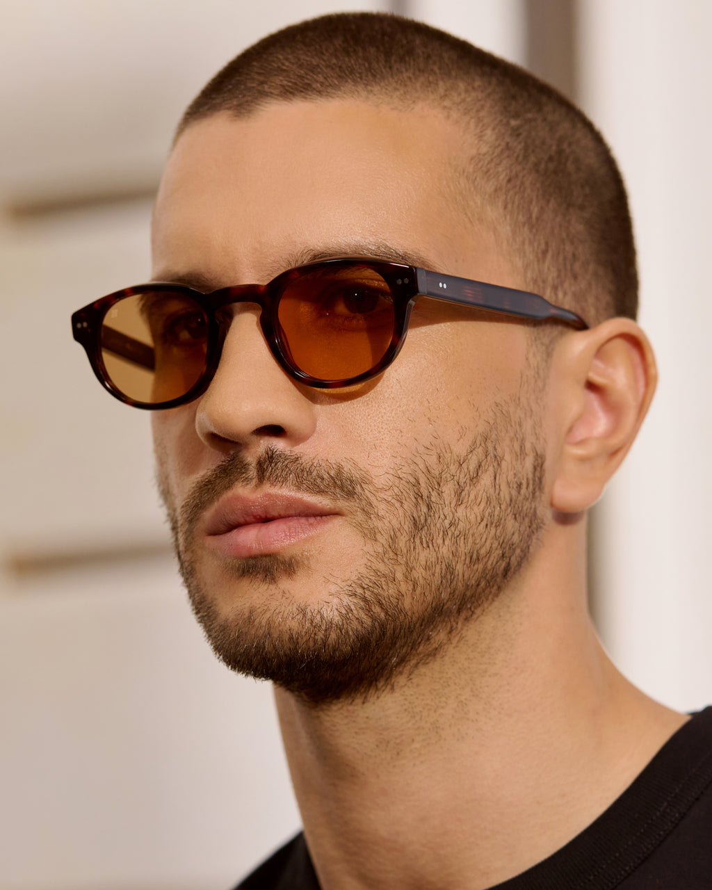 La Azur JF colors Redonda Gafas de Sol para Hombre in Carey oscuro