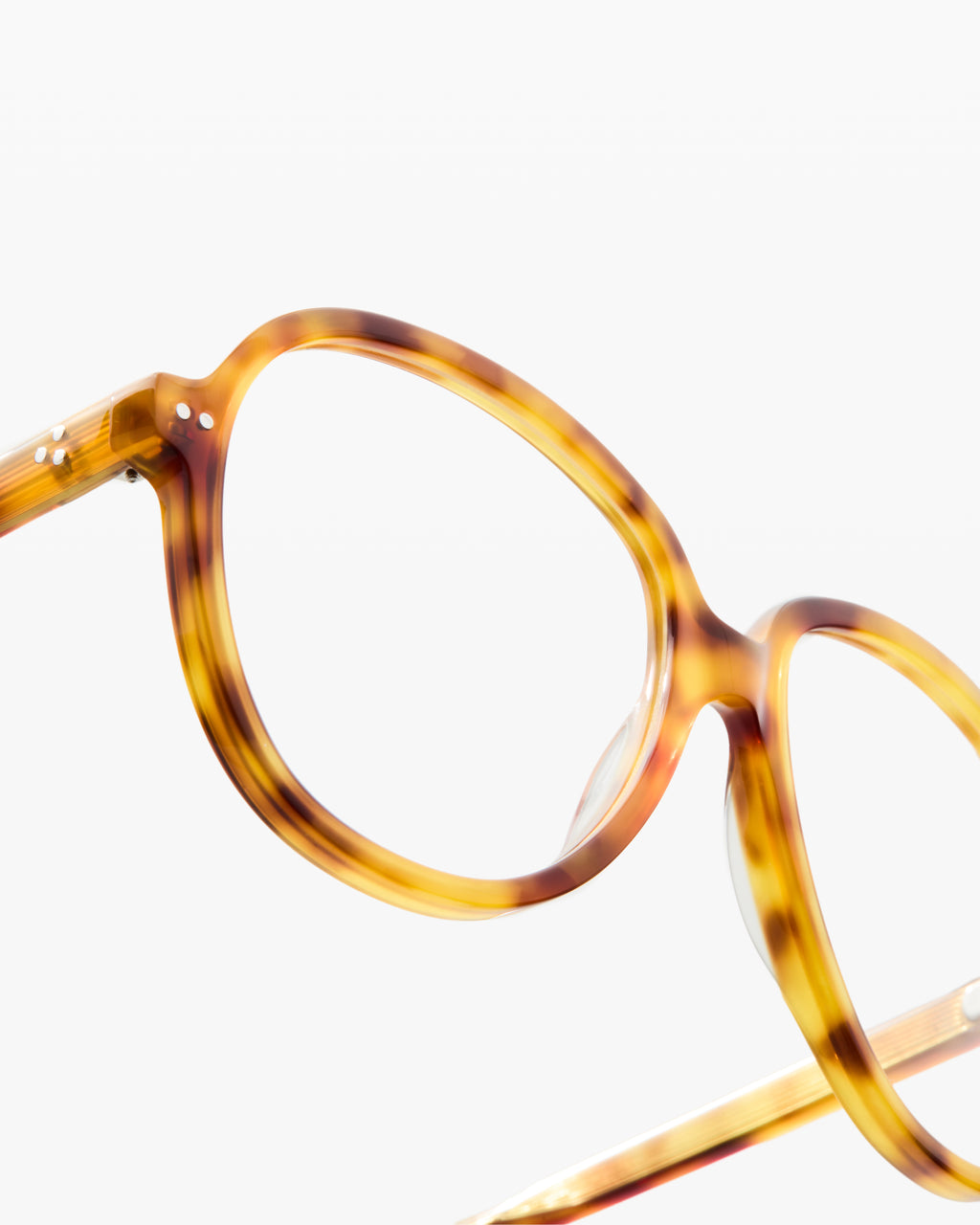 The Misty Aviator Damenbrillen in Tortoise