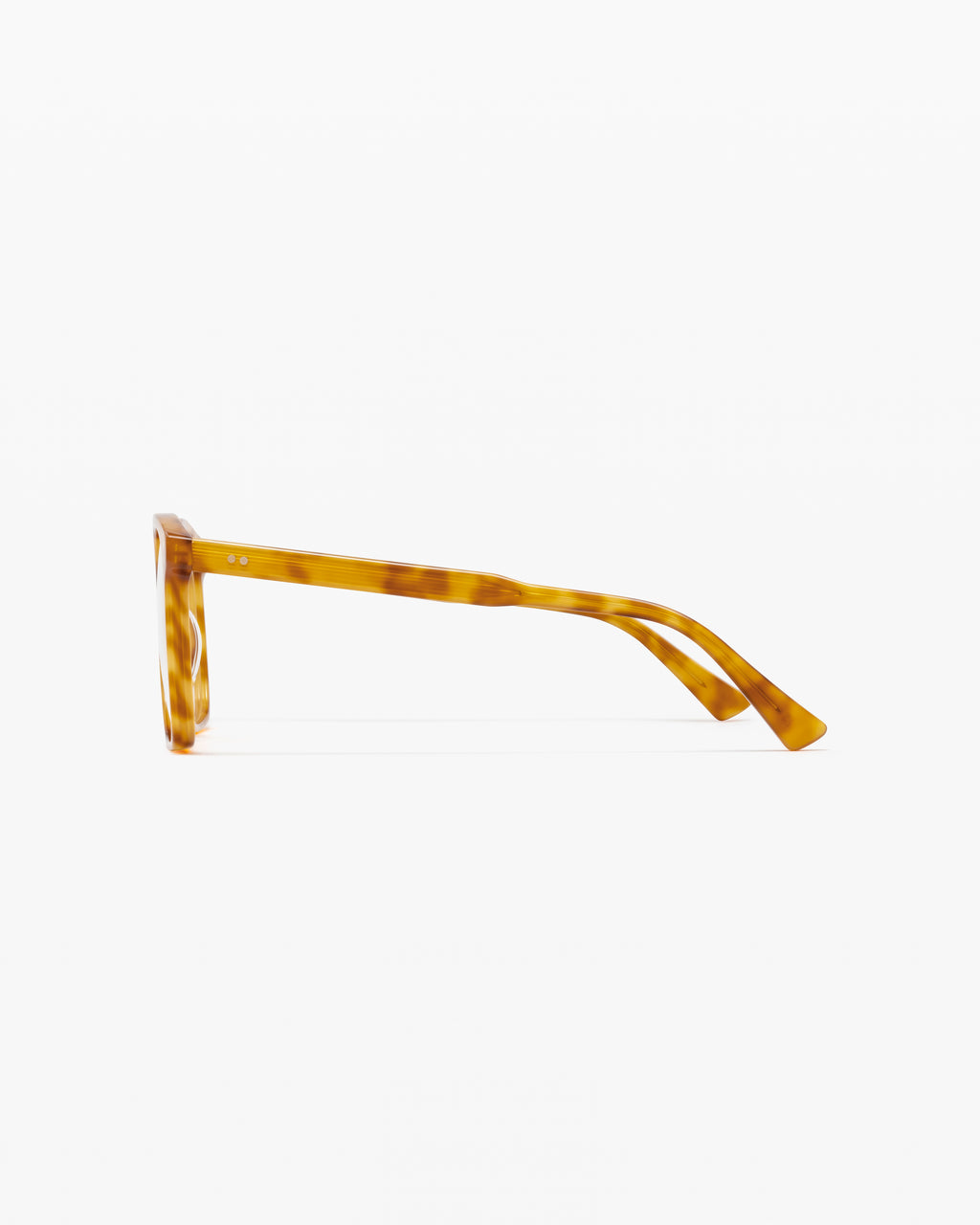 The Neta Rund Damenbrillen in Tortoise