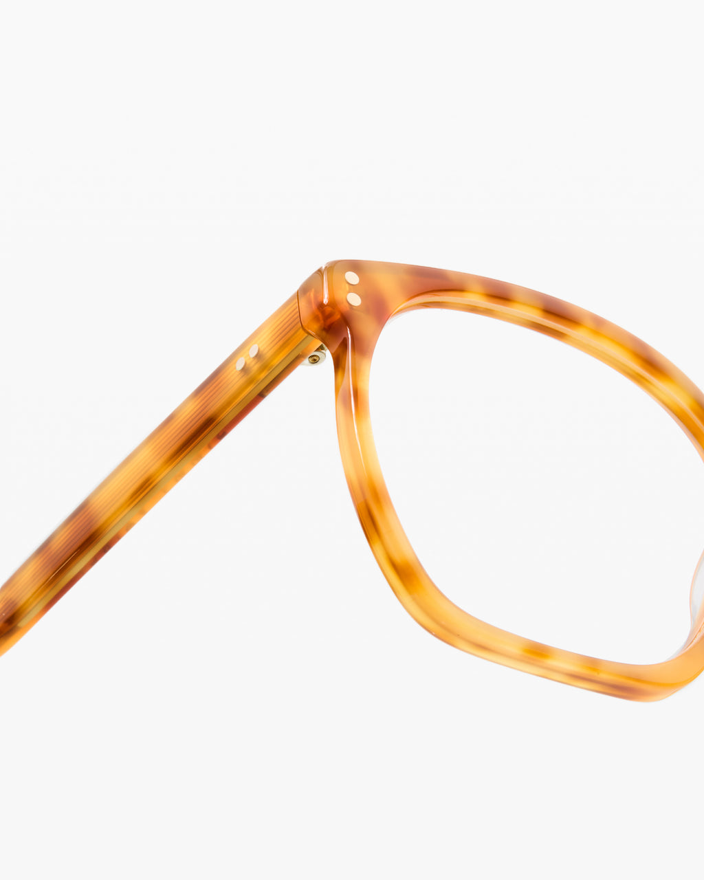 The Neta S Rund Damenbrillen in Tortoise