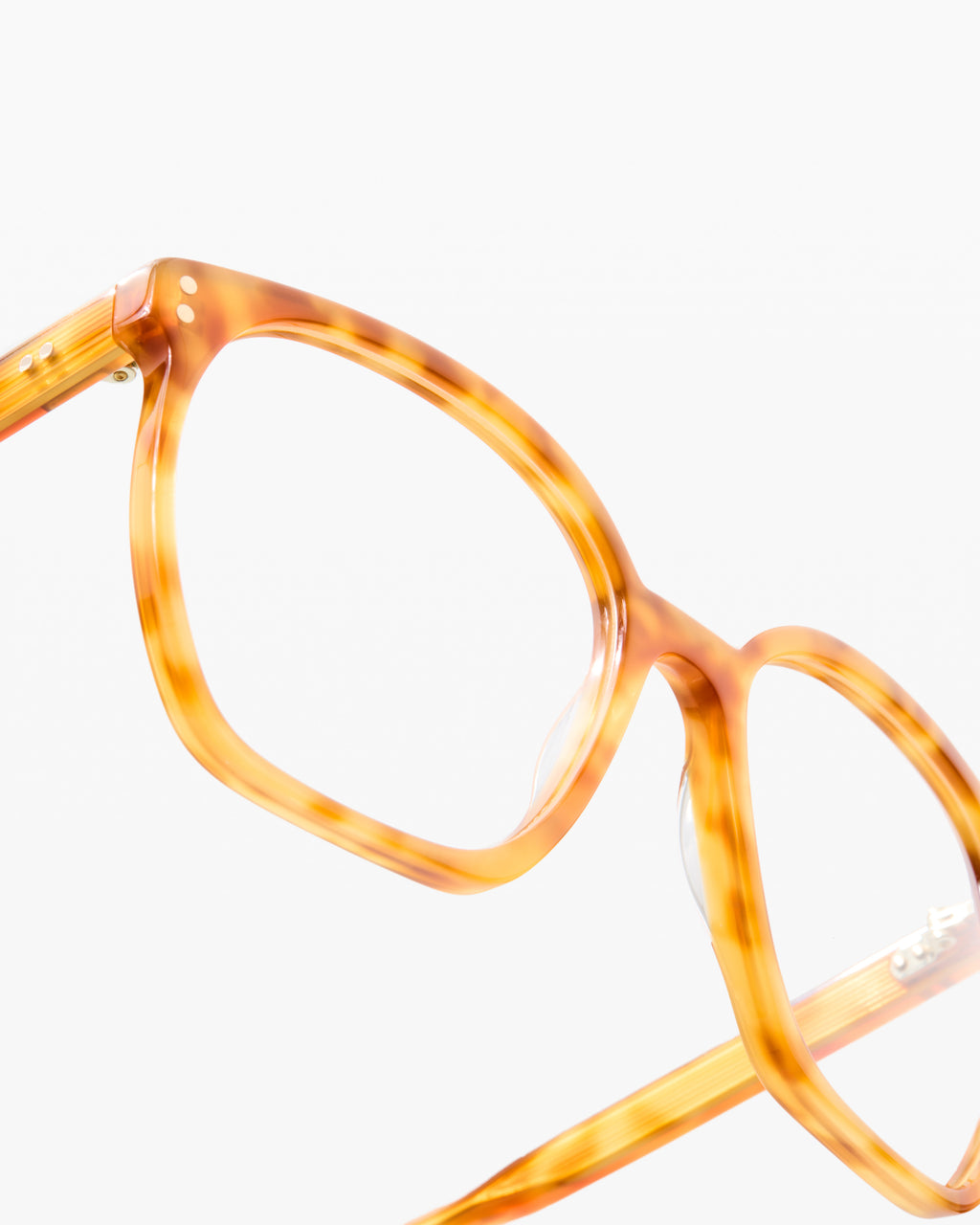 The Neta S Rund Damenbrillen in Tortoise