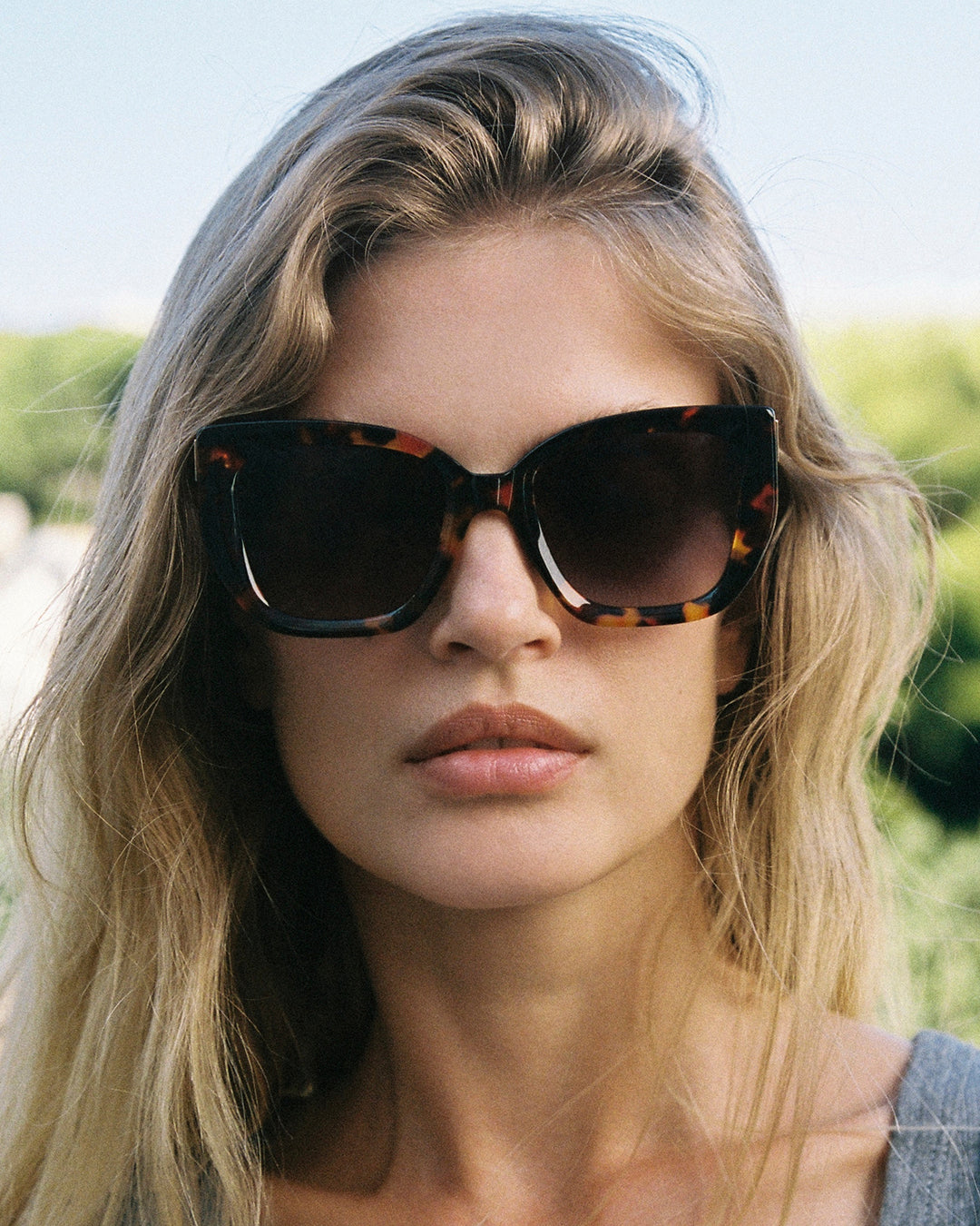 The Maïna Butterfly Women's Sunglasses in Dark Tortoise