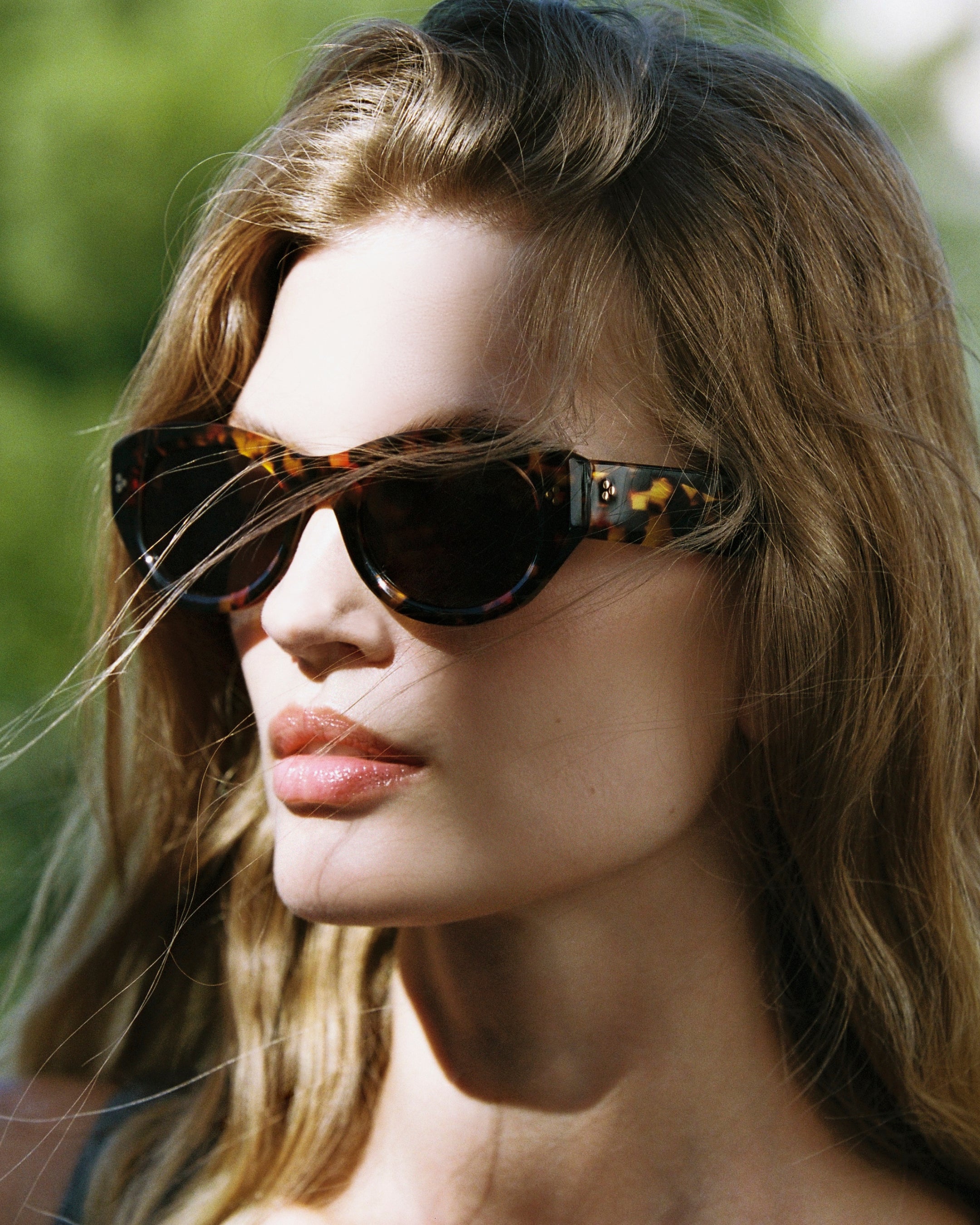 The Chlo Oval Women's Sunglasses in Tortoise