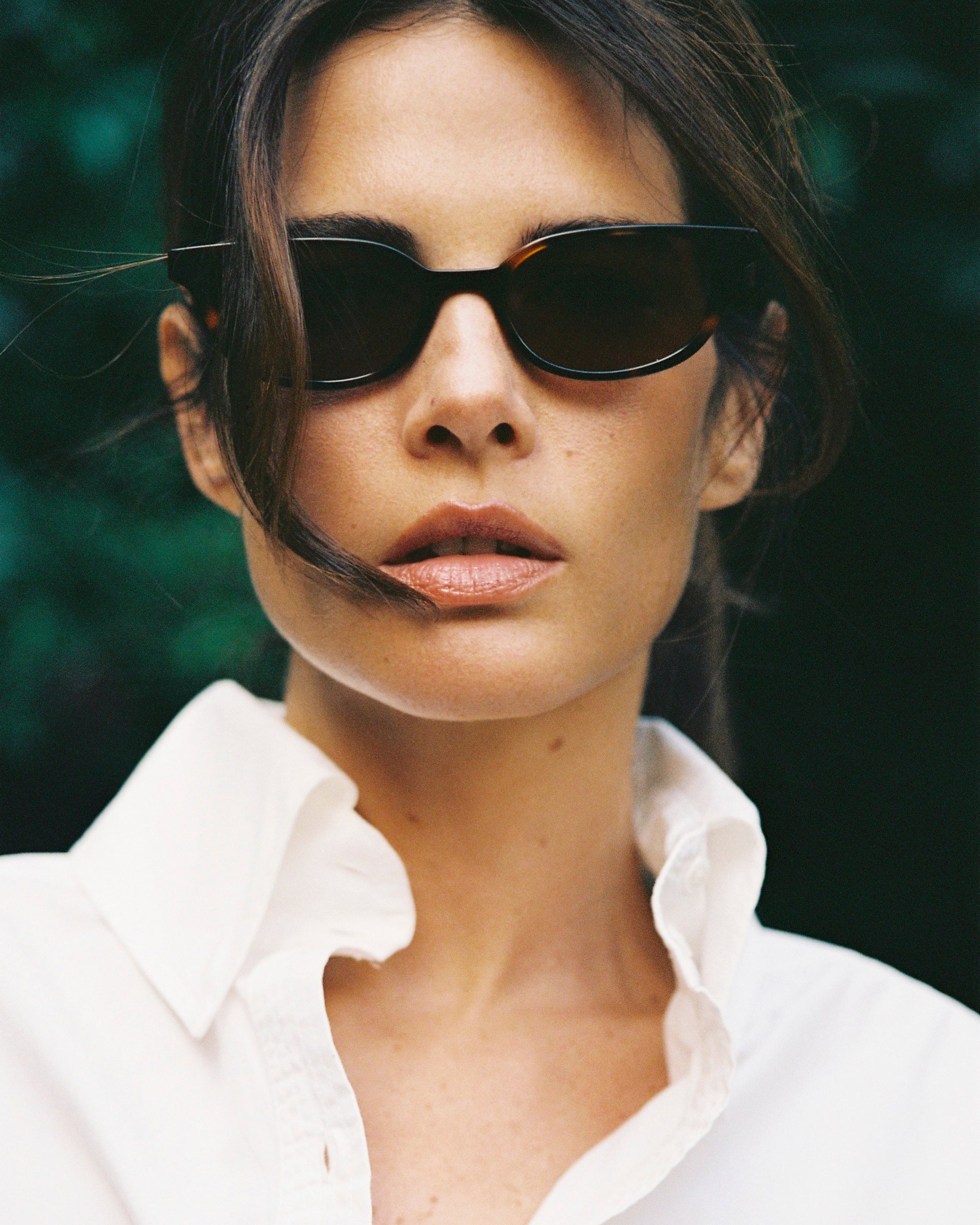 La Pippa Papillon Lunettes de Soleil pour Femmes en Ecaille foncée