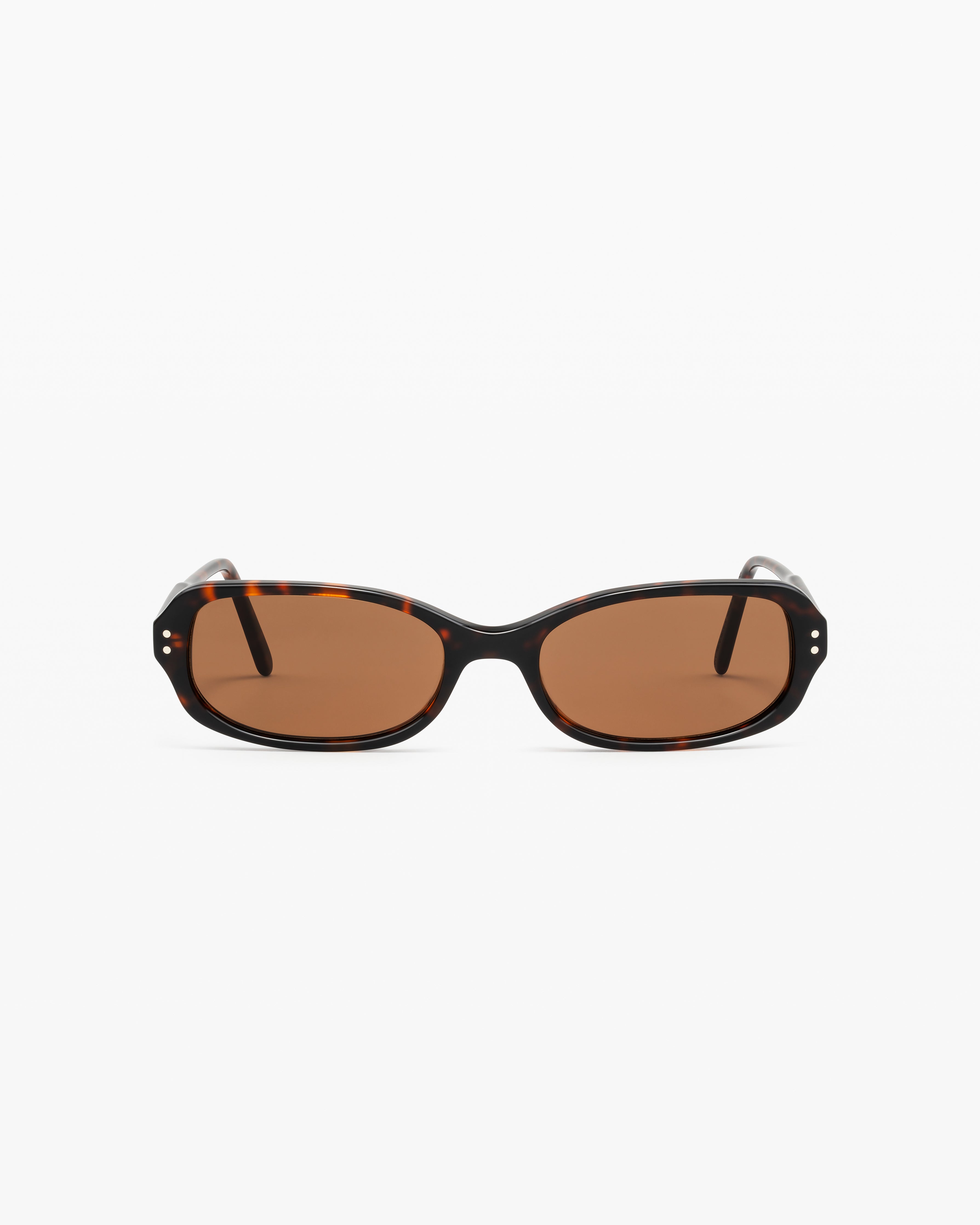 The Appoline Medium Women's Sunglasses in Dark Tortoise | Jimmy