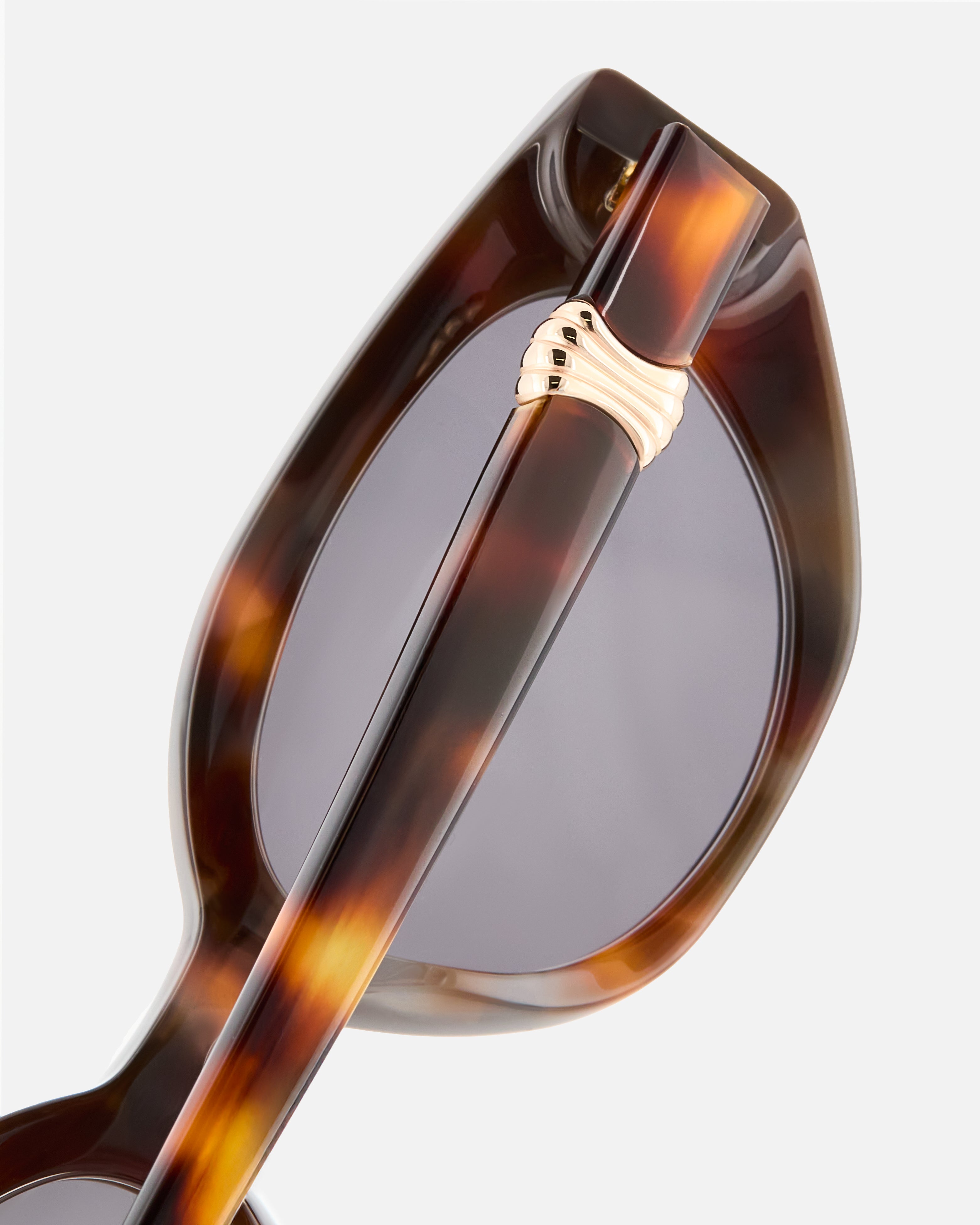 The Ariele Medium Women's Sunglasses in Dark Tortoise | Jimmy