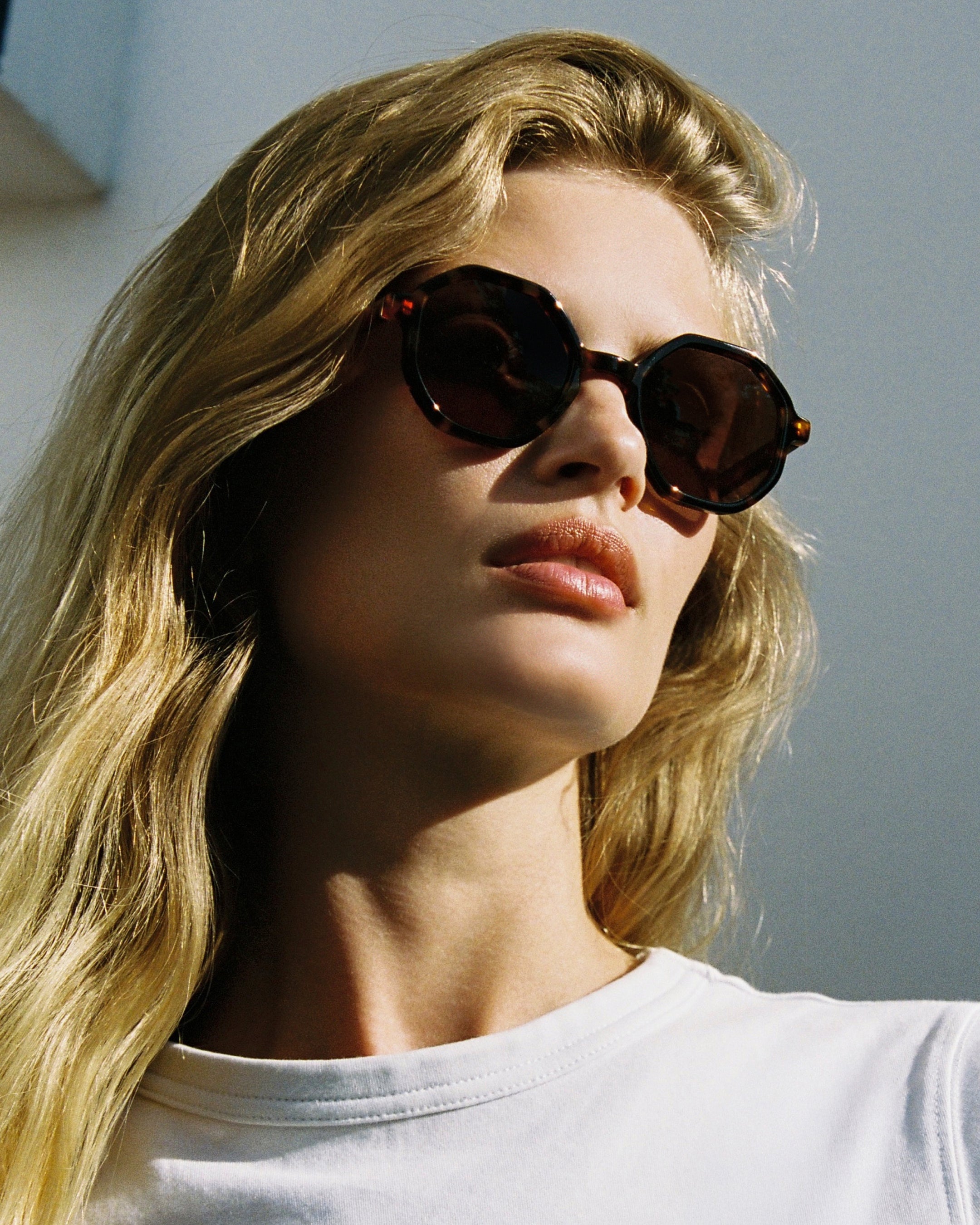The West Coast Hexagonal Women's Sunglasses in Dark Tortoise