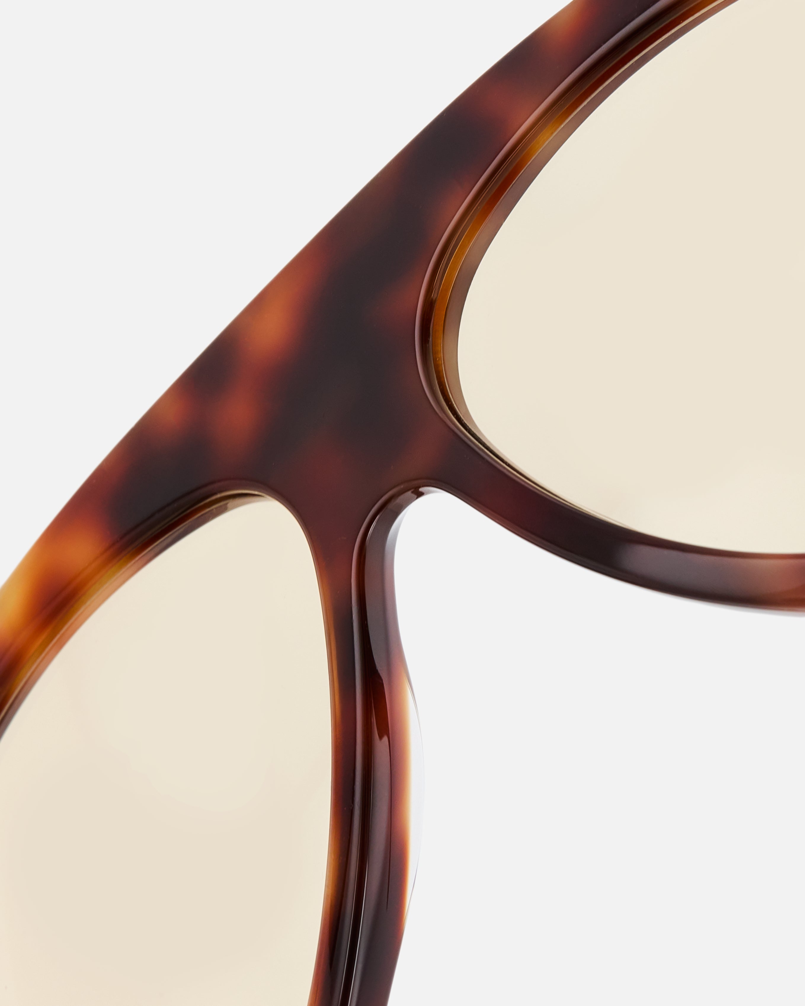 The Halo Medium Women's Sunglasses in Dark Tortoise | Jimmy Fairly US