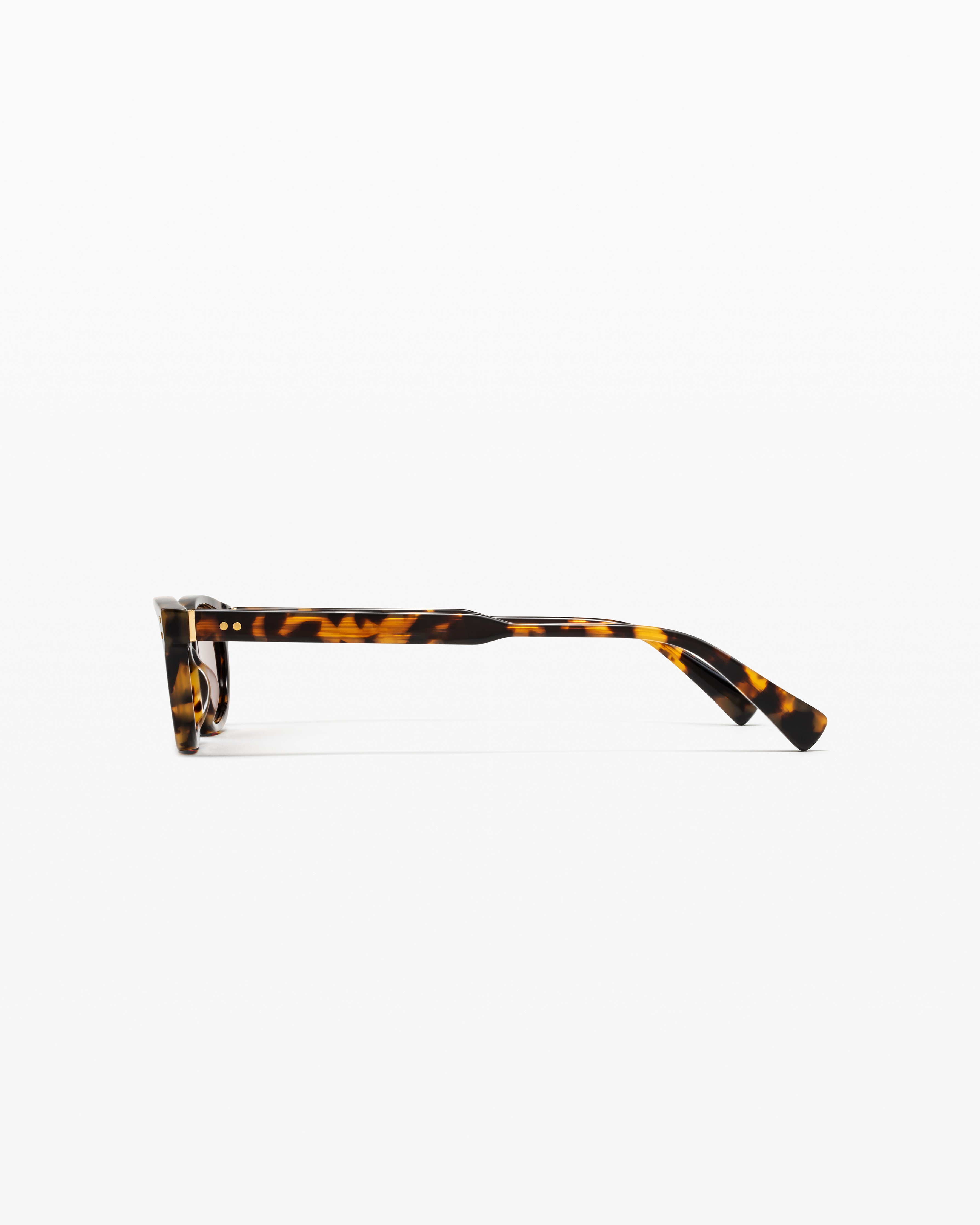 The Honey Medium Women's Sunglasses in Dark Tortoise | Jimmy Fairly US