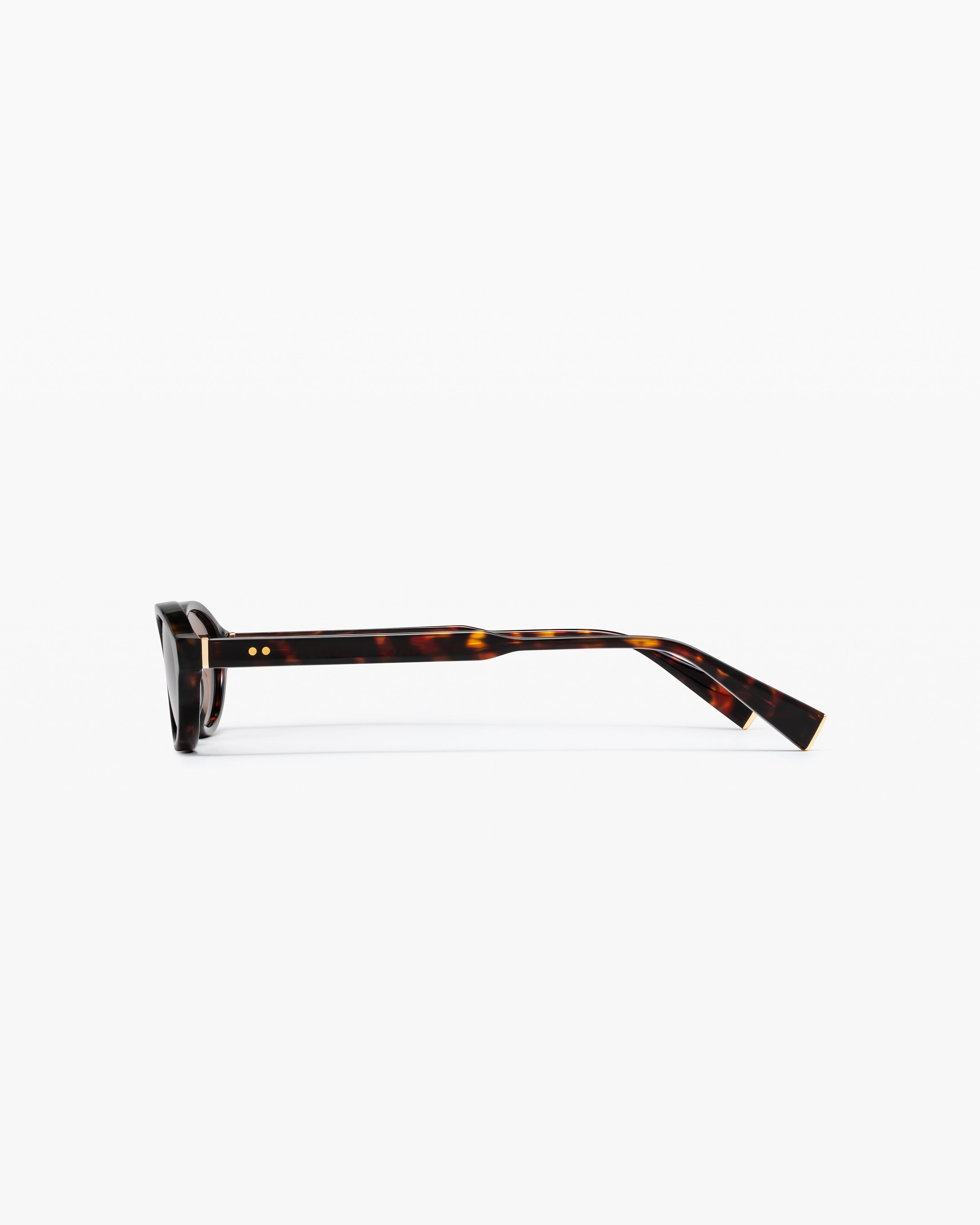 The Meg Oval Women's Sunglasses in Dark Tortoise