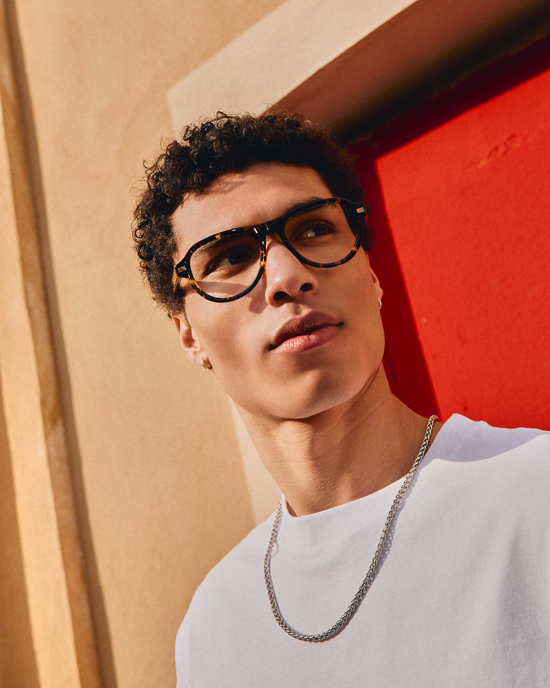 The Sao Medium Women's Eyeglasses in Dark Tortoise | Jimmy Fairly US