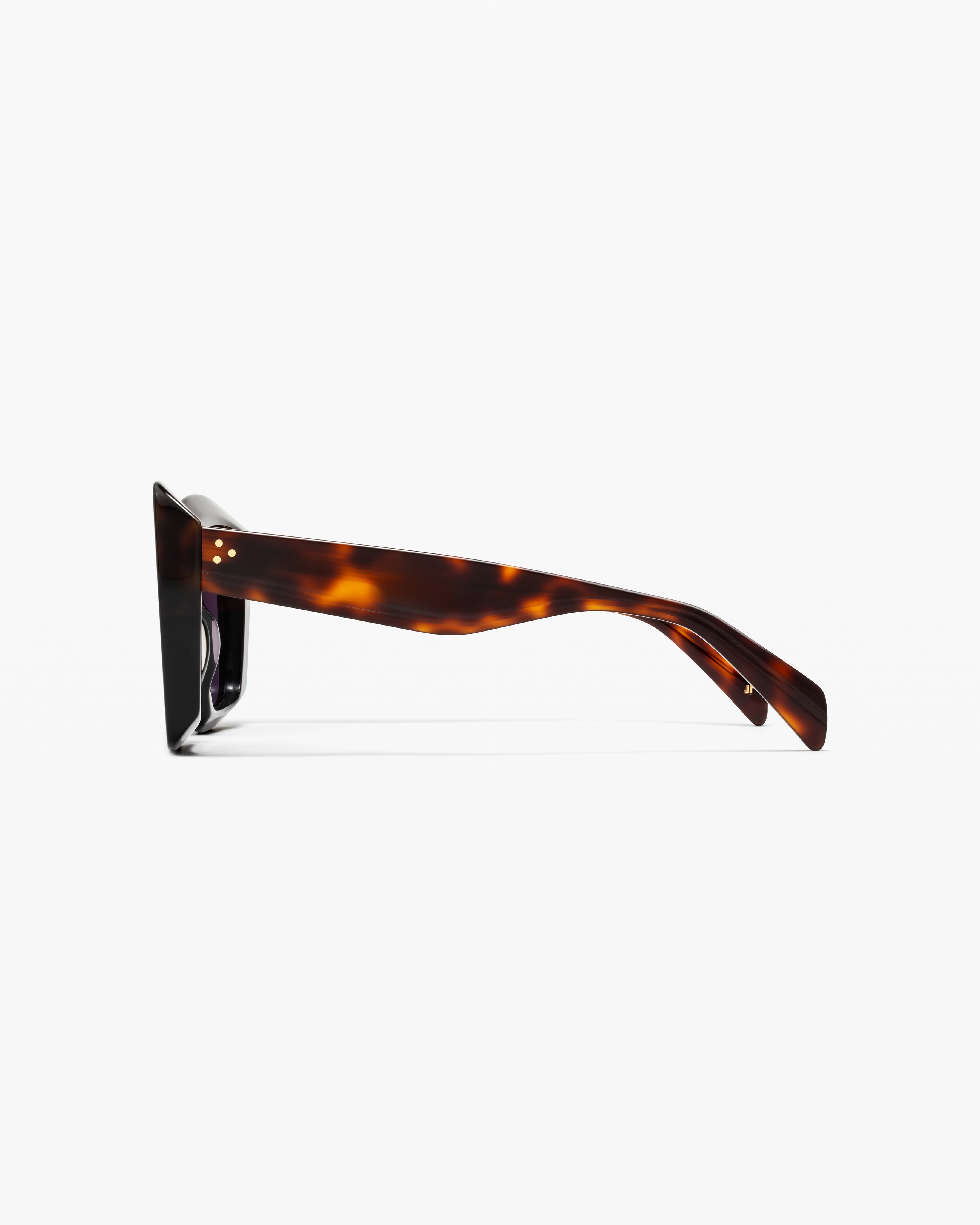 The Bruma Square Women's Sunglasses in Dark Tortoise