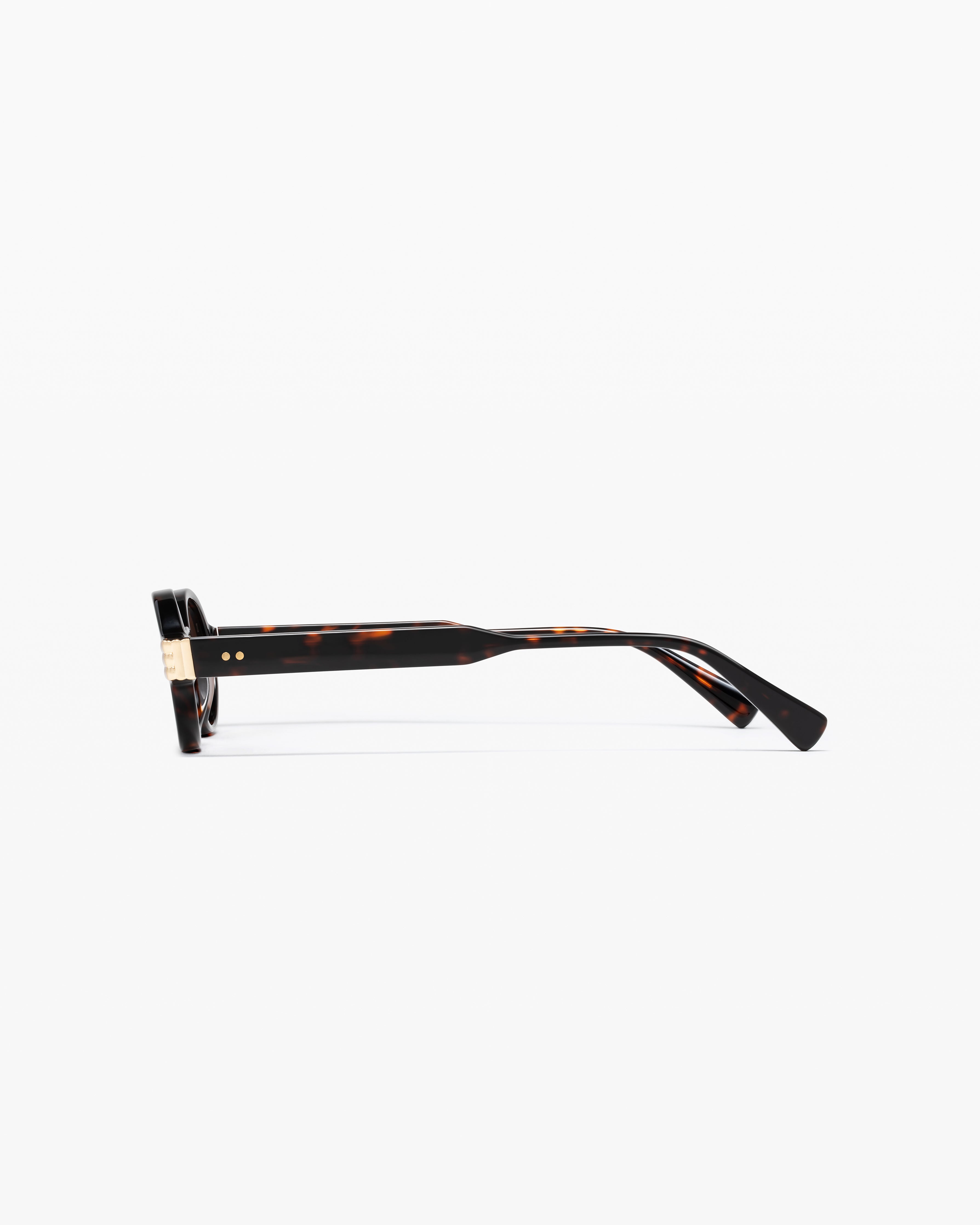 The Elvie Oval Women's Sunglasses in Dark Tortoise
