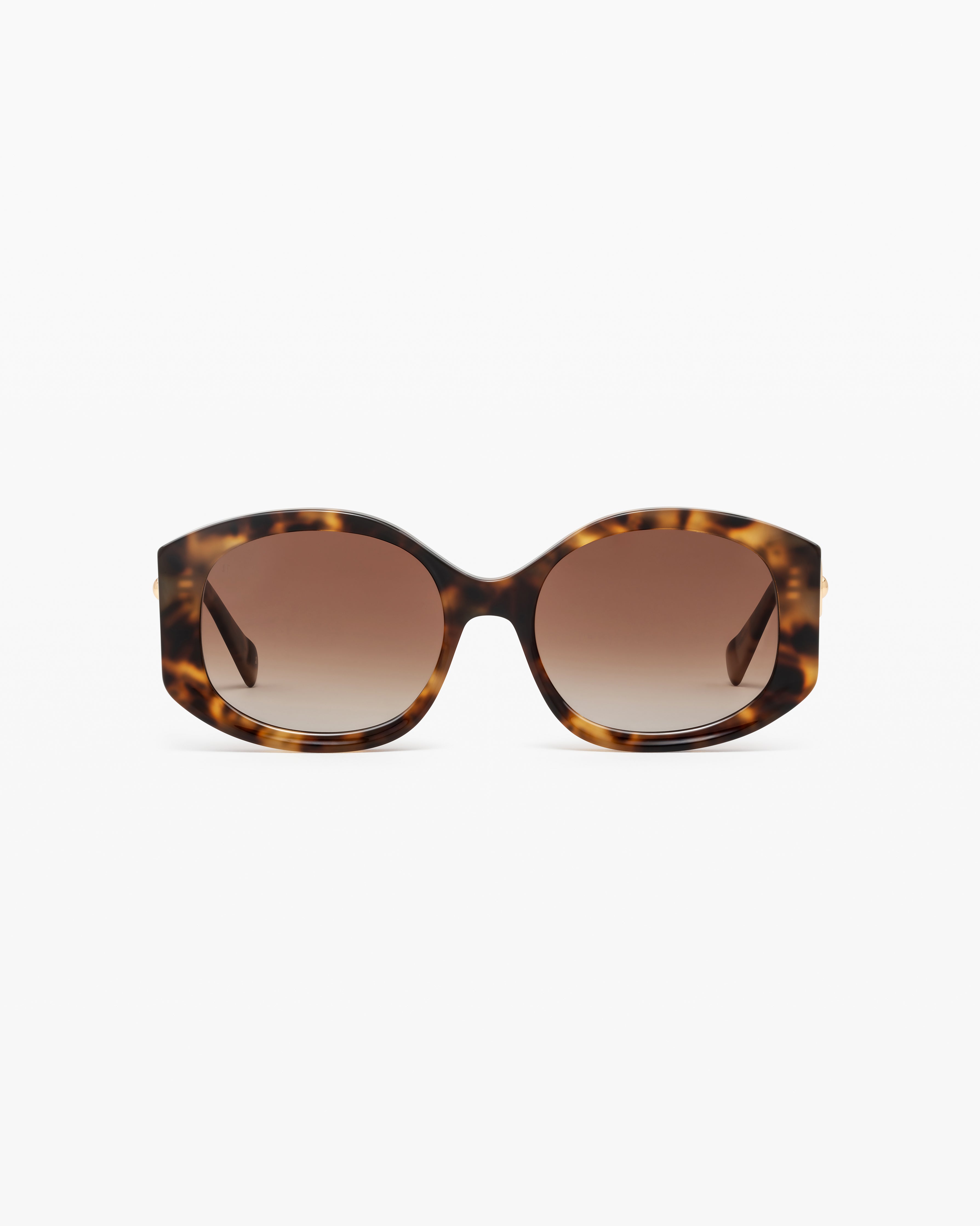 The Pina Medium Women's Eyeglasses in Dark Tortoise | Jimmy Fairly US