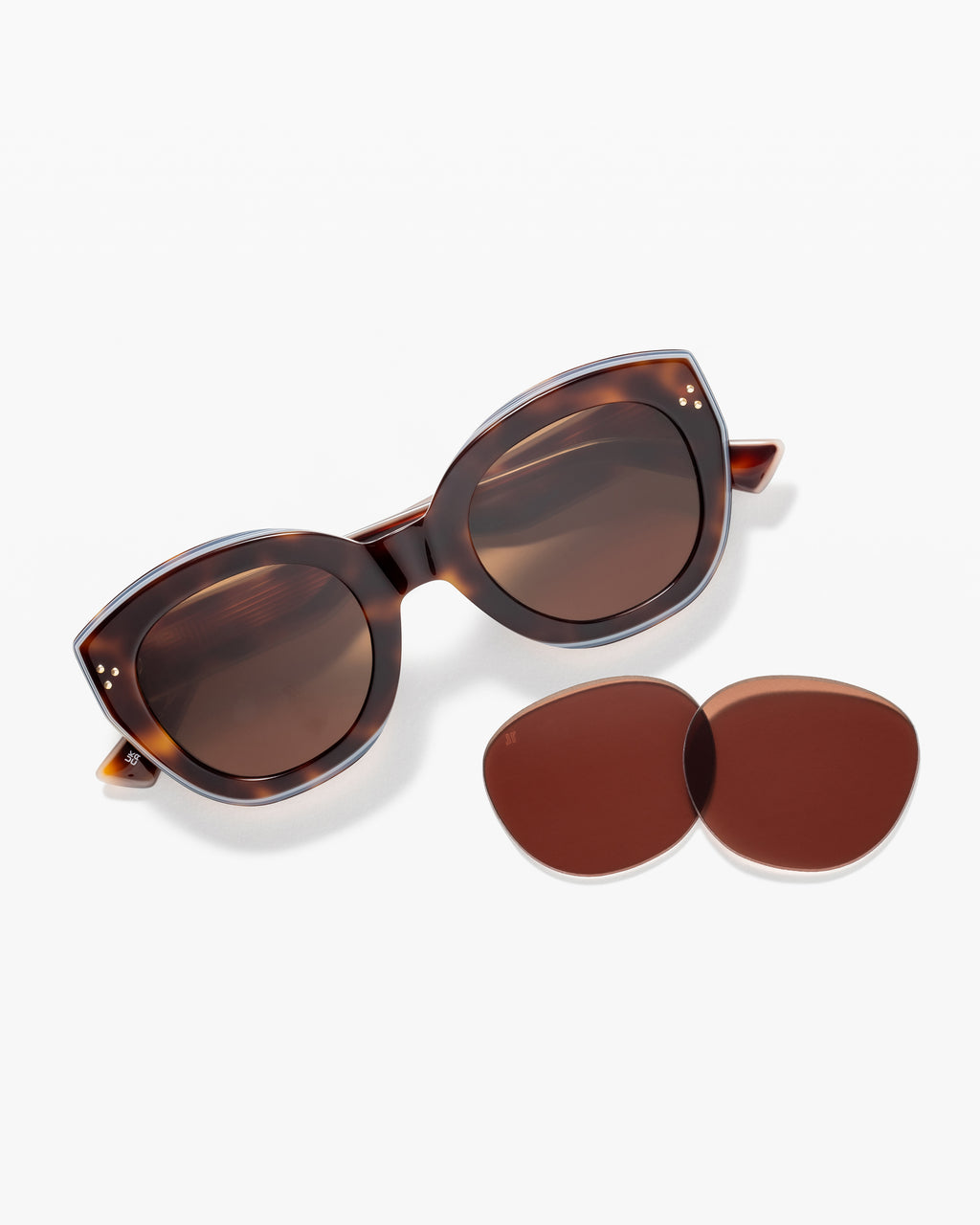 La Bisca JF Colors Papillon Lunettes de Soleil pour femme in Ecaille foncée