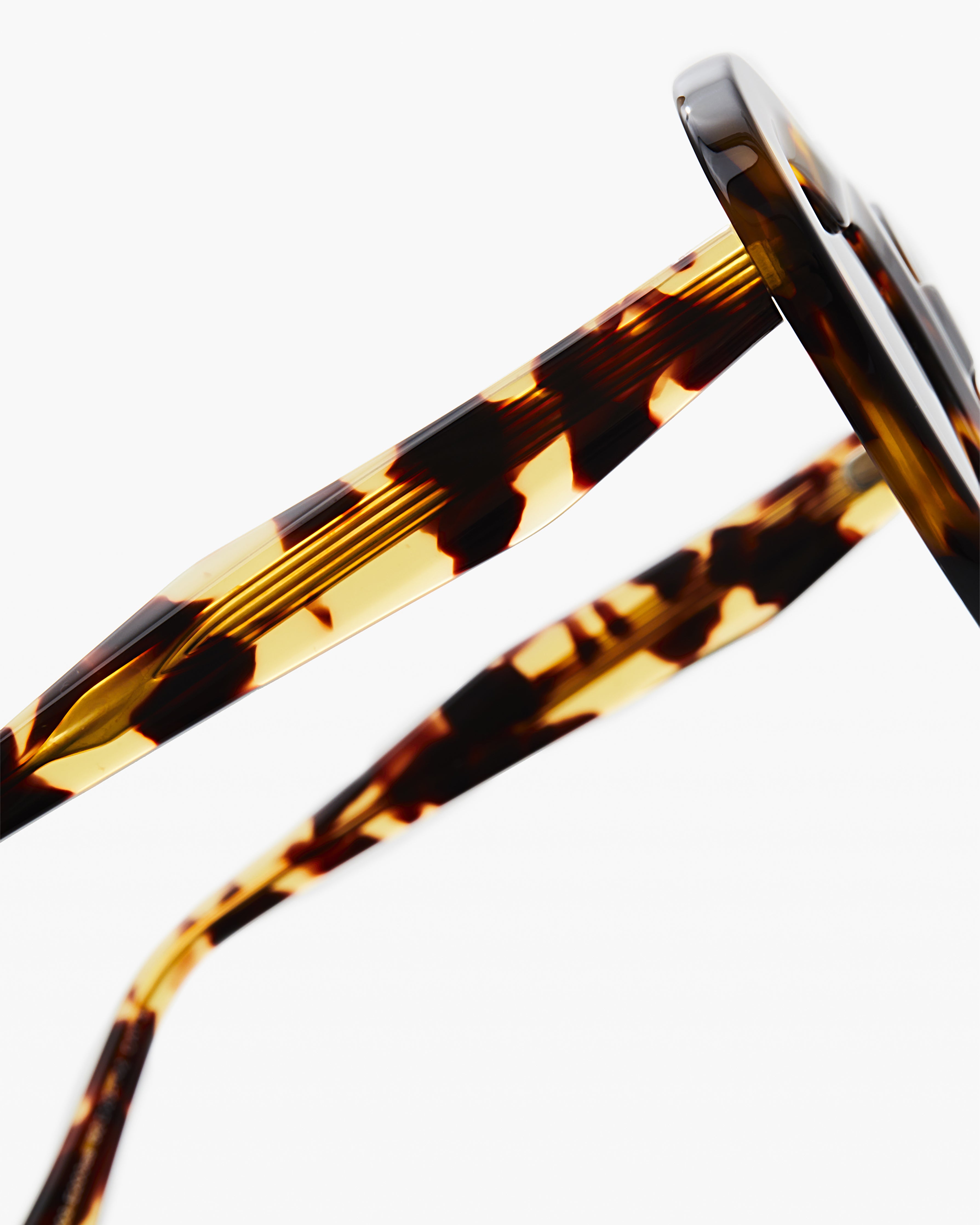 The Coeur Heart Women's Sunglasses in Tortoise