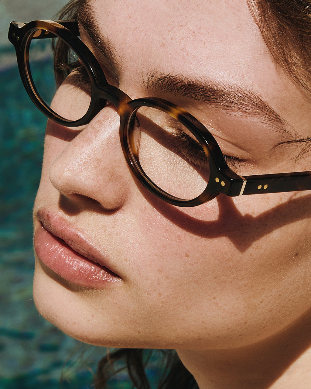The Elvie L Oval Damenbrillen in Dark Tortoise