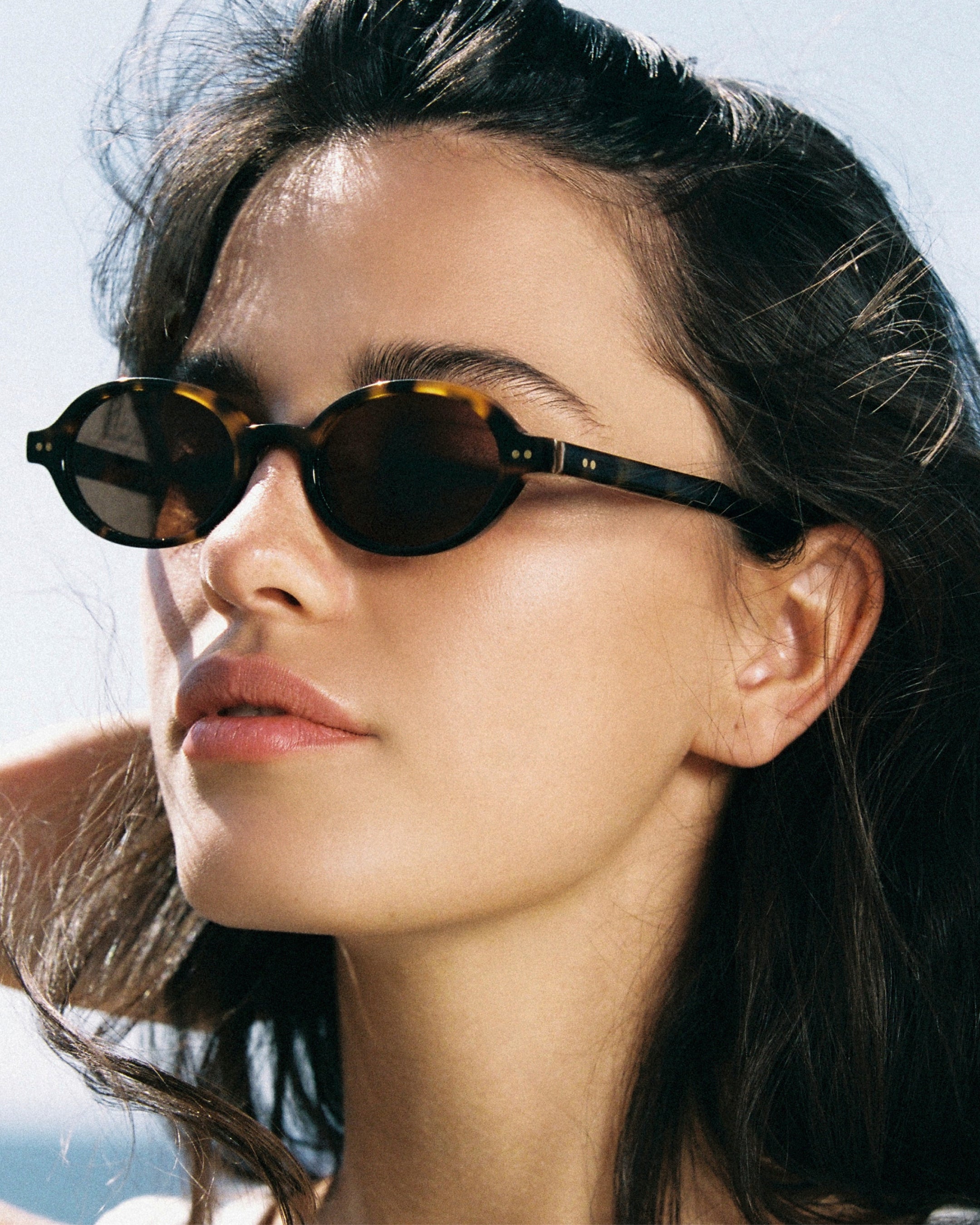 The Elvie Oval Women's Sunglasses in Dark Tortoise