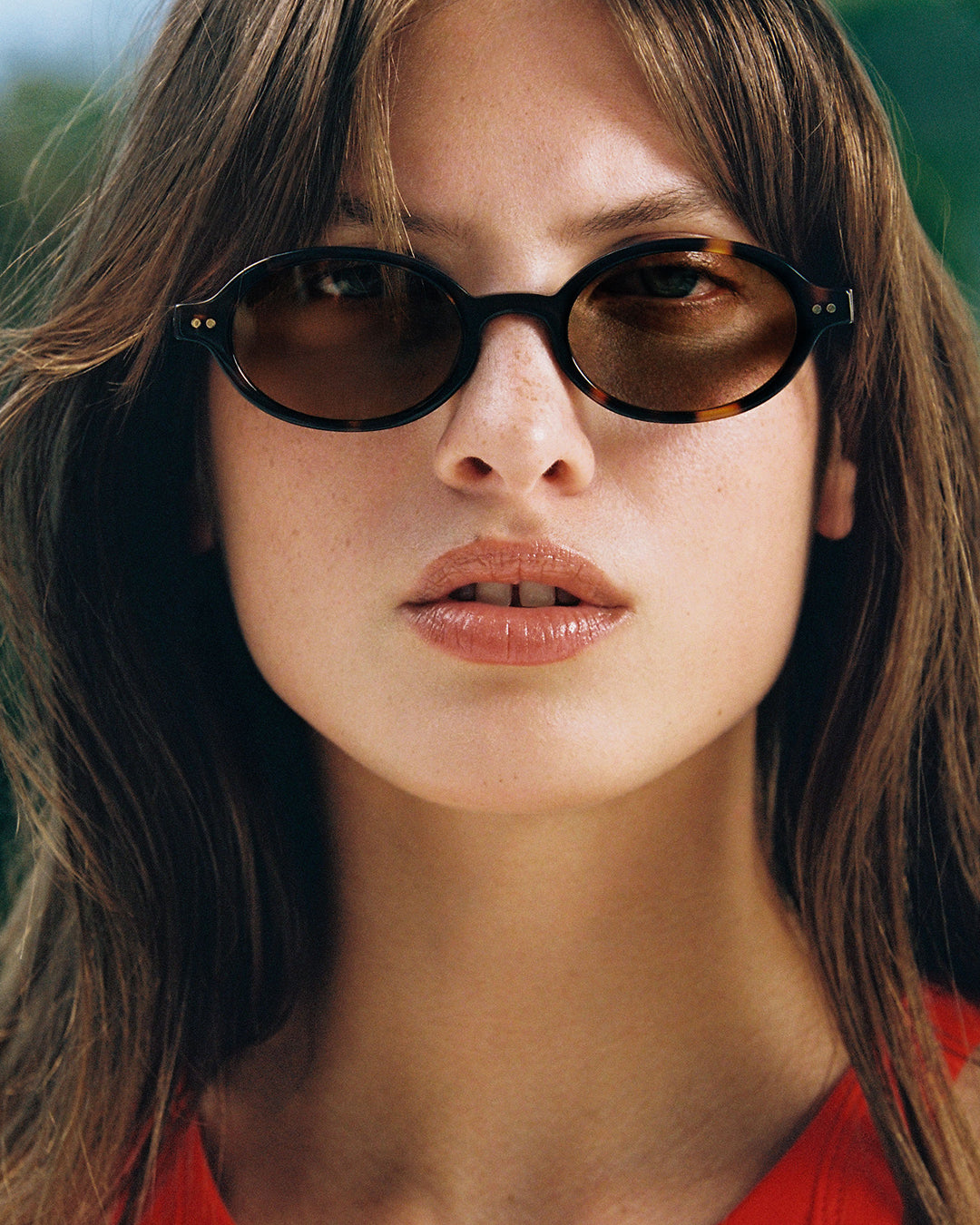 The Elvie Oval Women's Sunglasses in Dark Tortoise | Jimmy Fairly US