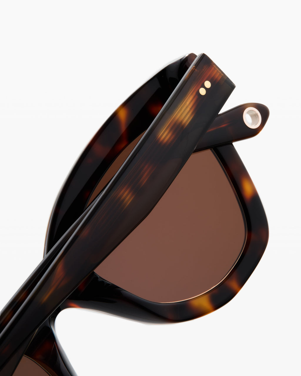 The Naia Schmetterling Damen-Sonnenbrillen in Tortoise