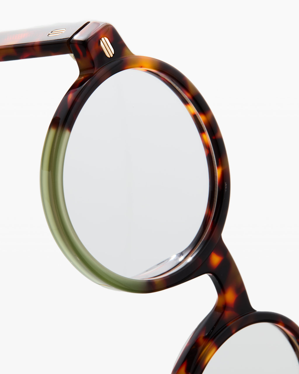 The Gadjo Round Women's Eyeglasses in Tortoise
