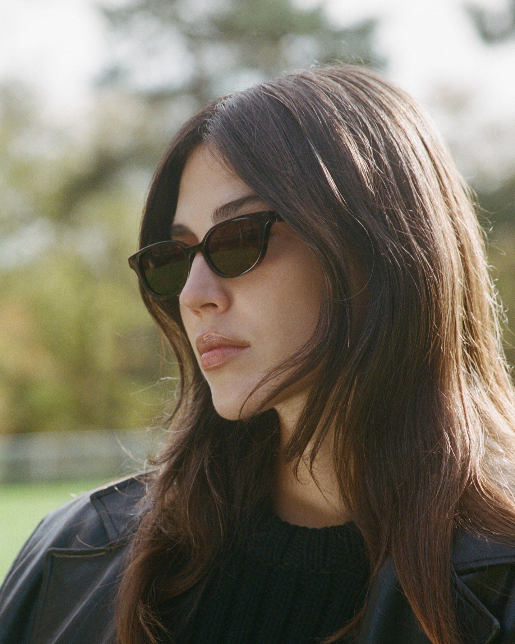 The Pippa Butterfly Women's Sunglasses in Dark Tortoise