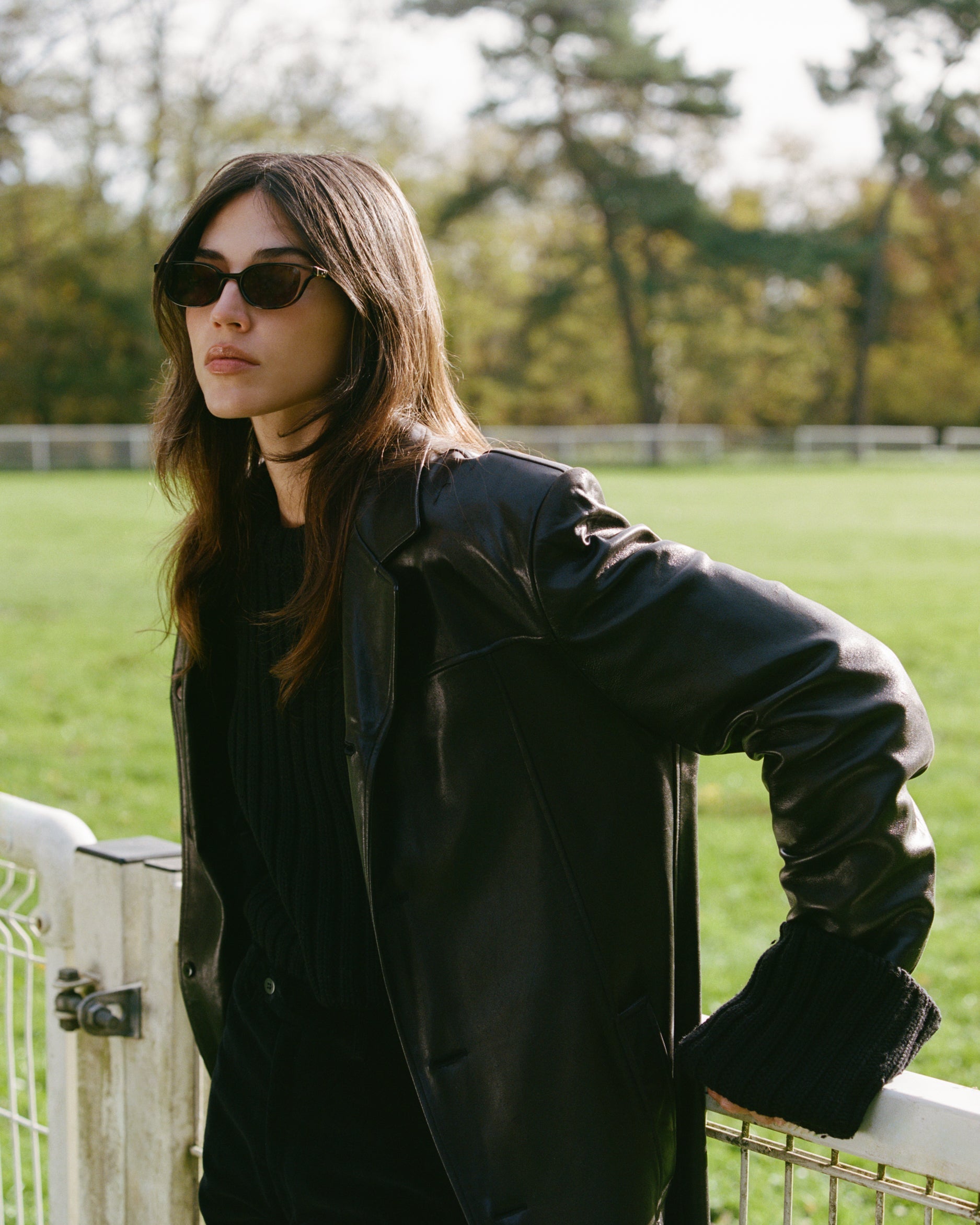 The Pippa Butterfly Women's Sunglasses in Dark Tortoise