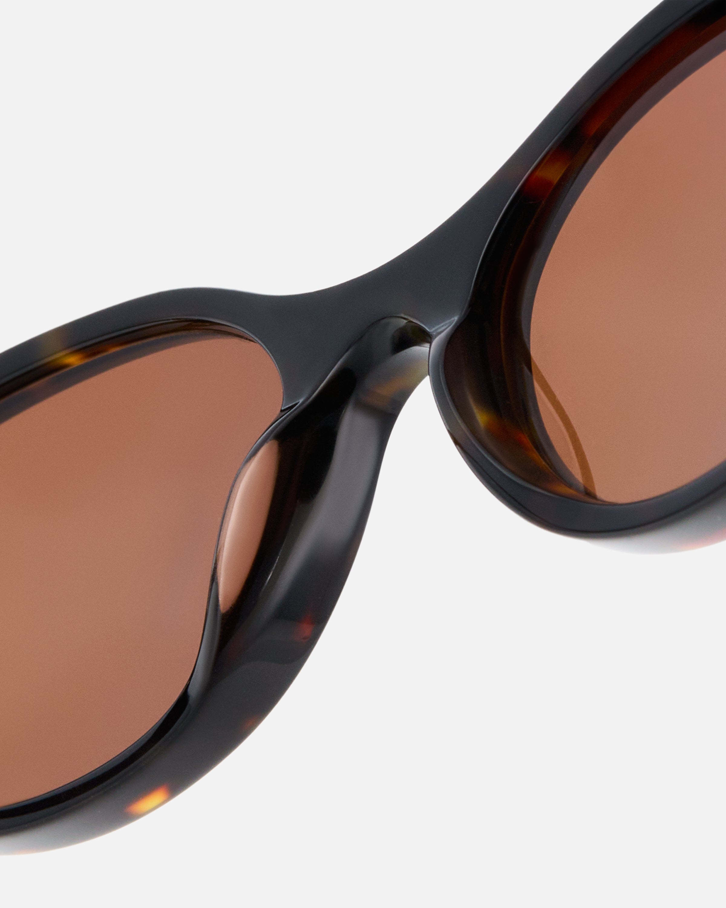 The Meg Medium Women's Sunglasses in Dark Tortoise | Jimmy Fairly