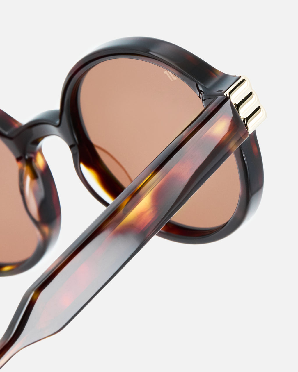 The Carvi Round  in Dark Tortoise